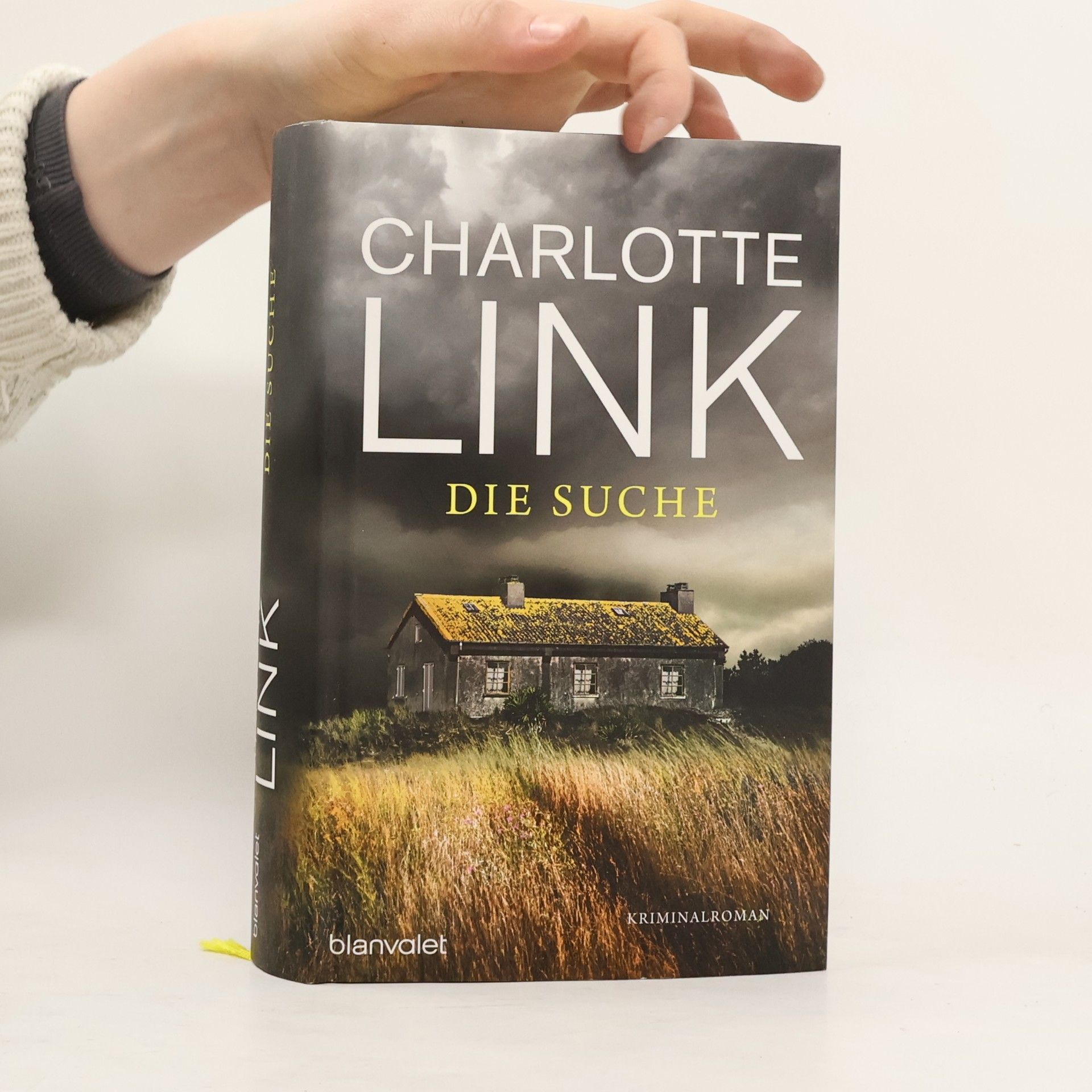 Charlotte Link Die Suche