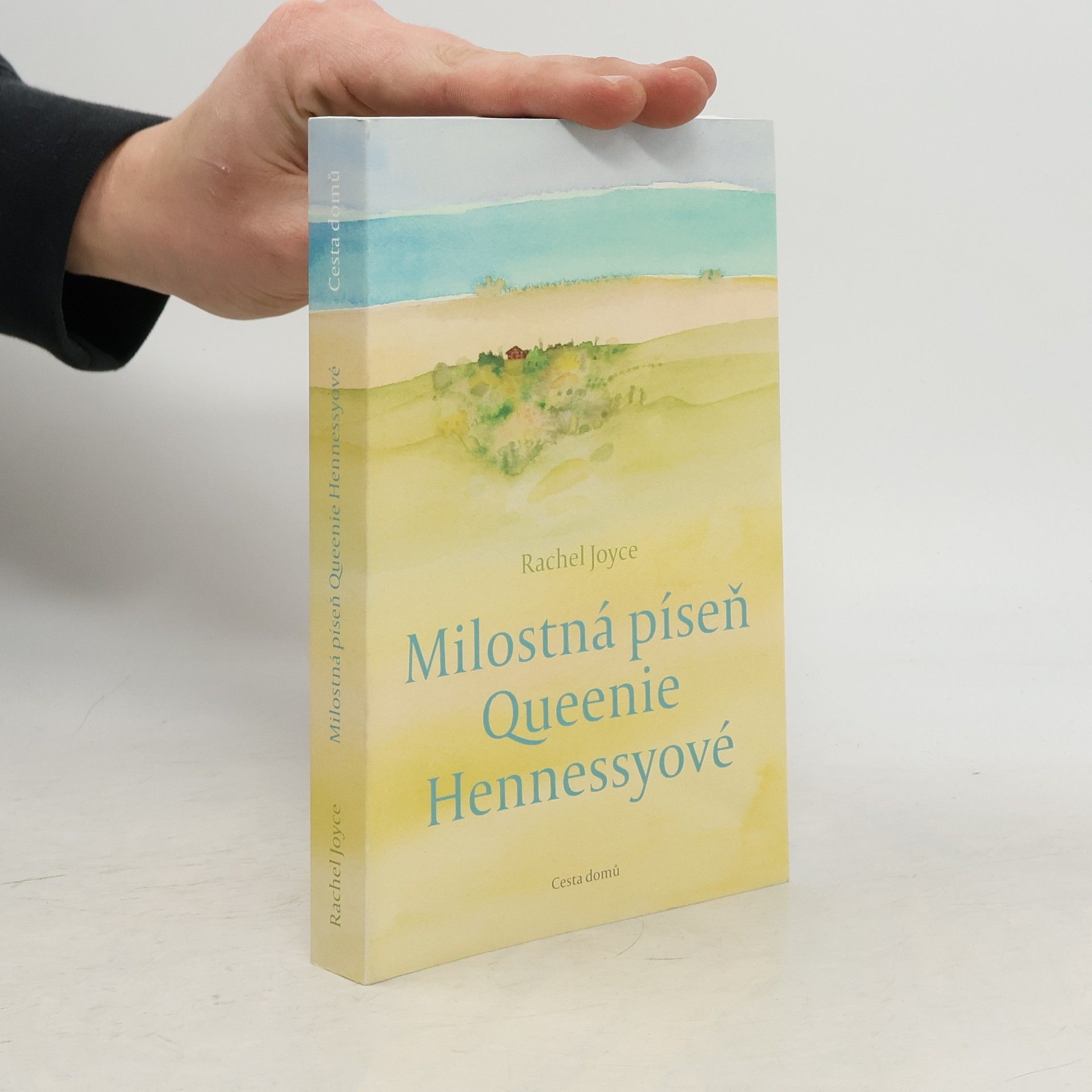 Rachel Joyce Milostná píseň Queenie Hennessyové