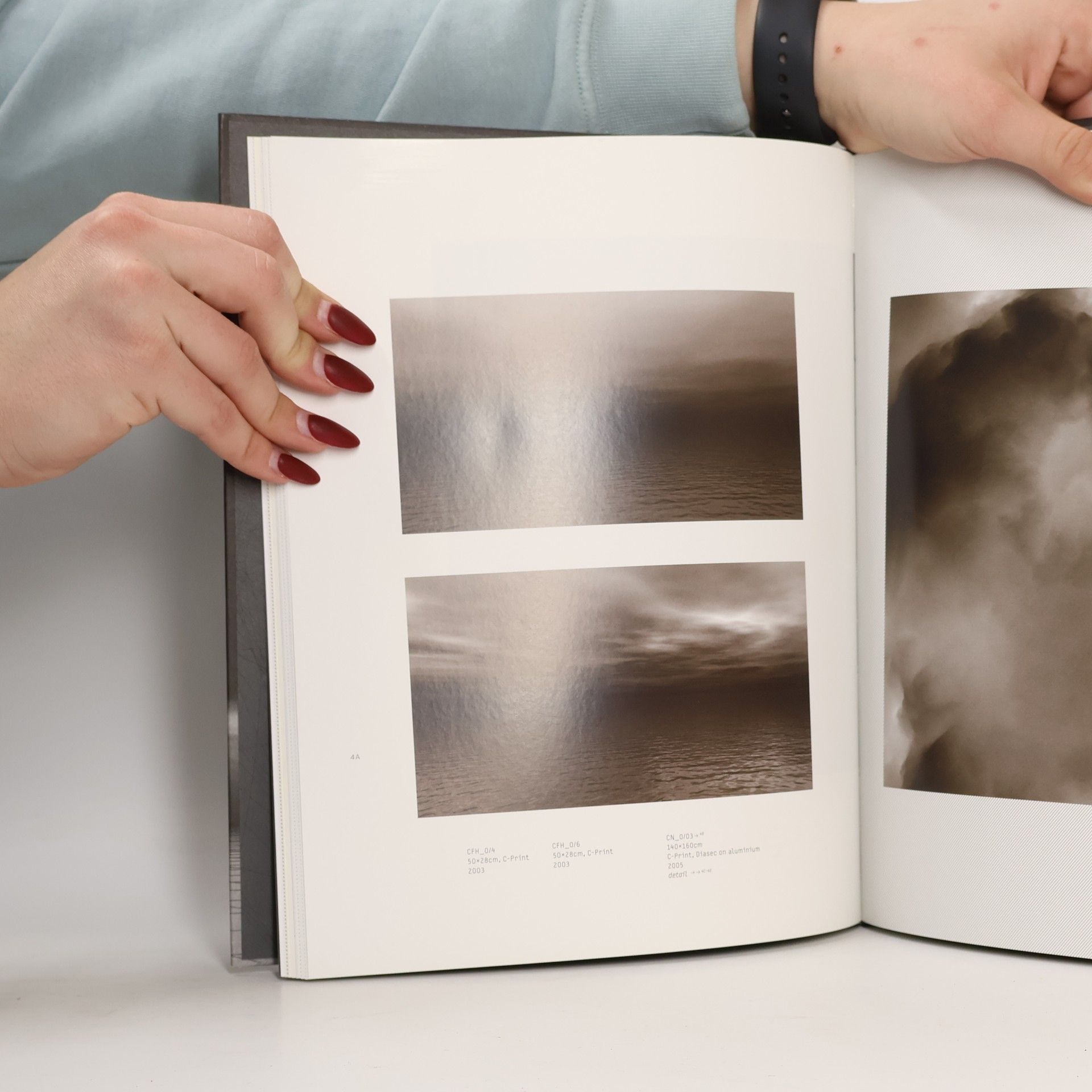 Gerald Bast Edition Angewandte: Julie Monaco 19972011
