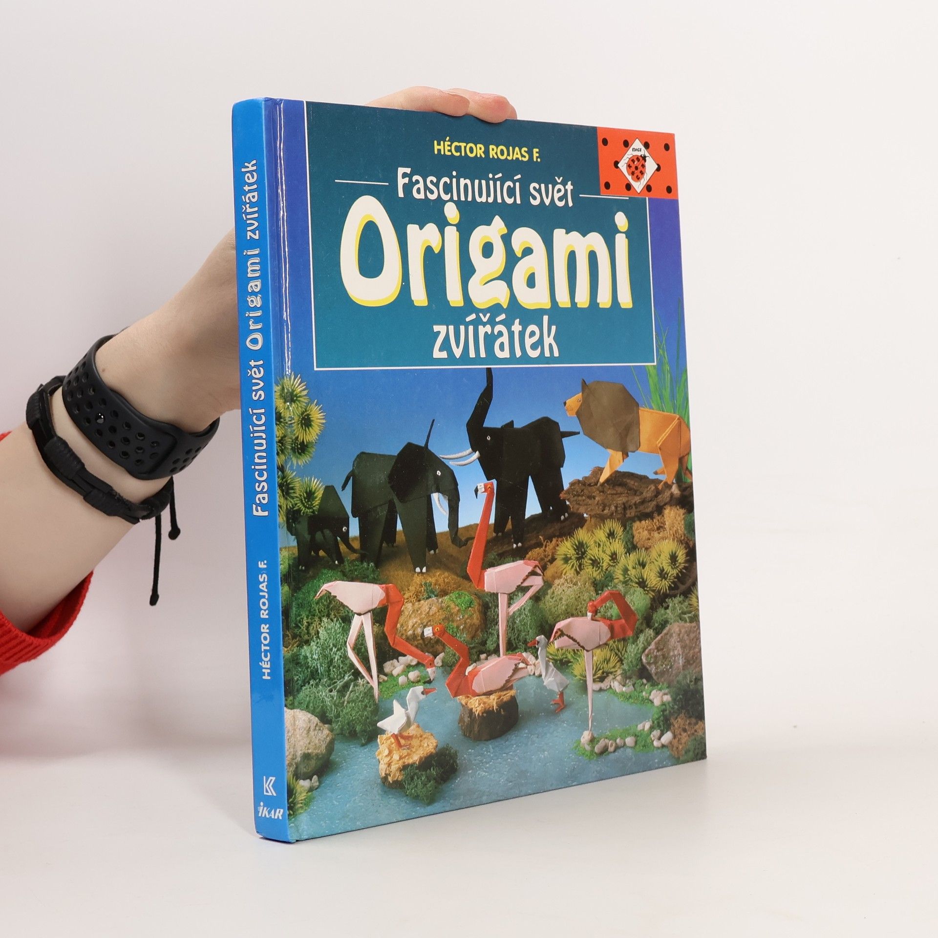 Héctor Rojas F Fascinující svět origami zvířátek