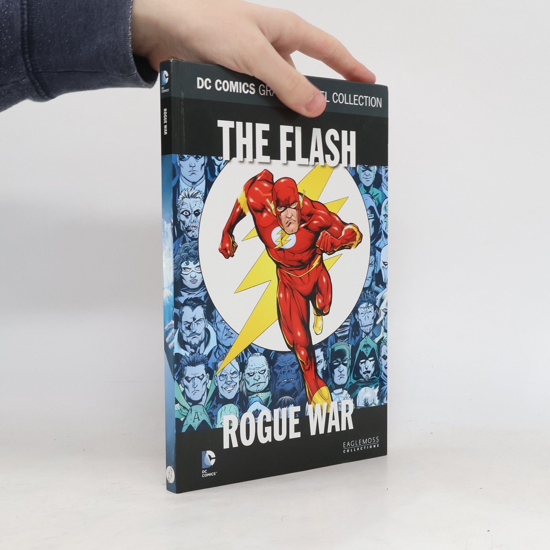 Kolektiv autorů The Flash.Rogue War