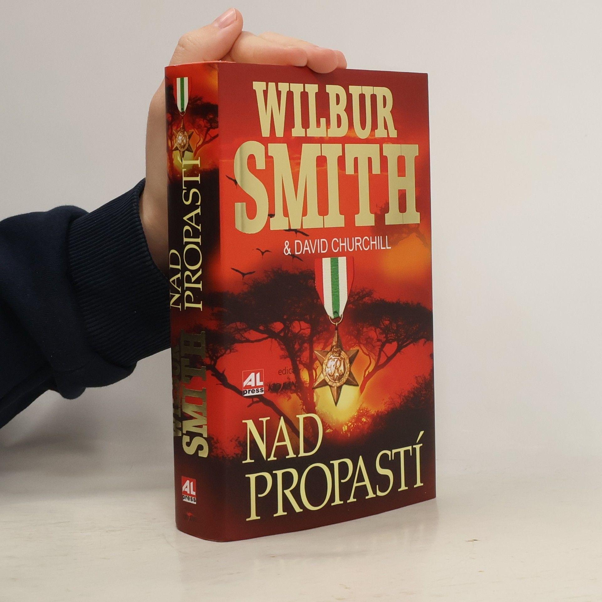 Wilbur A. Smith Nad propastí
