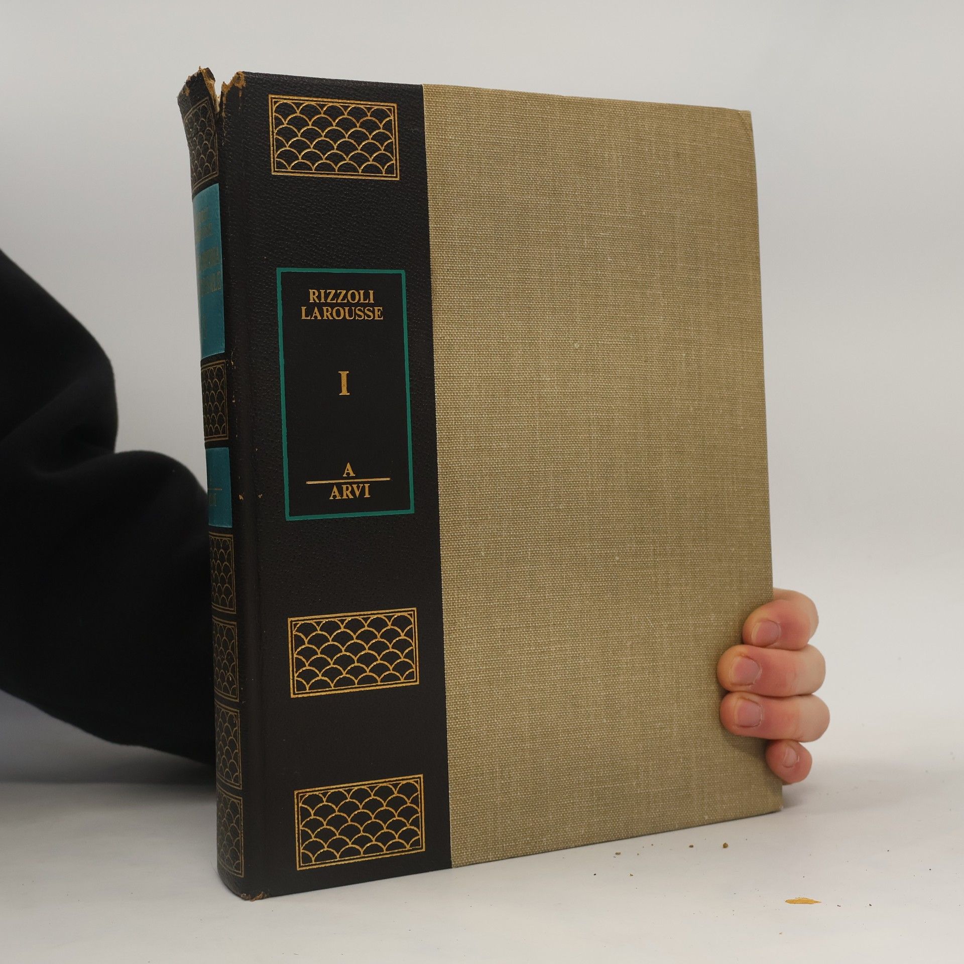 Autorenkollektiv Rizzoli, Larousse. Enciclopedia universale 1. A-Arvi