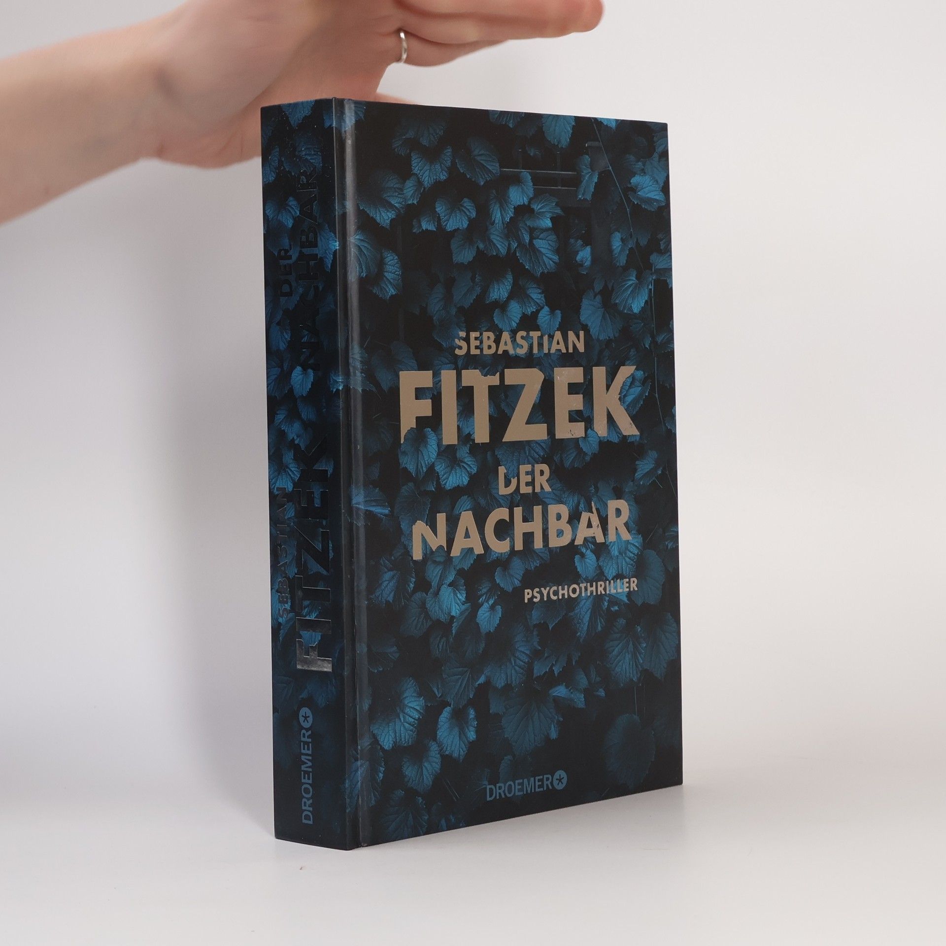 Sebastian Fitzek Der Nachbar