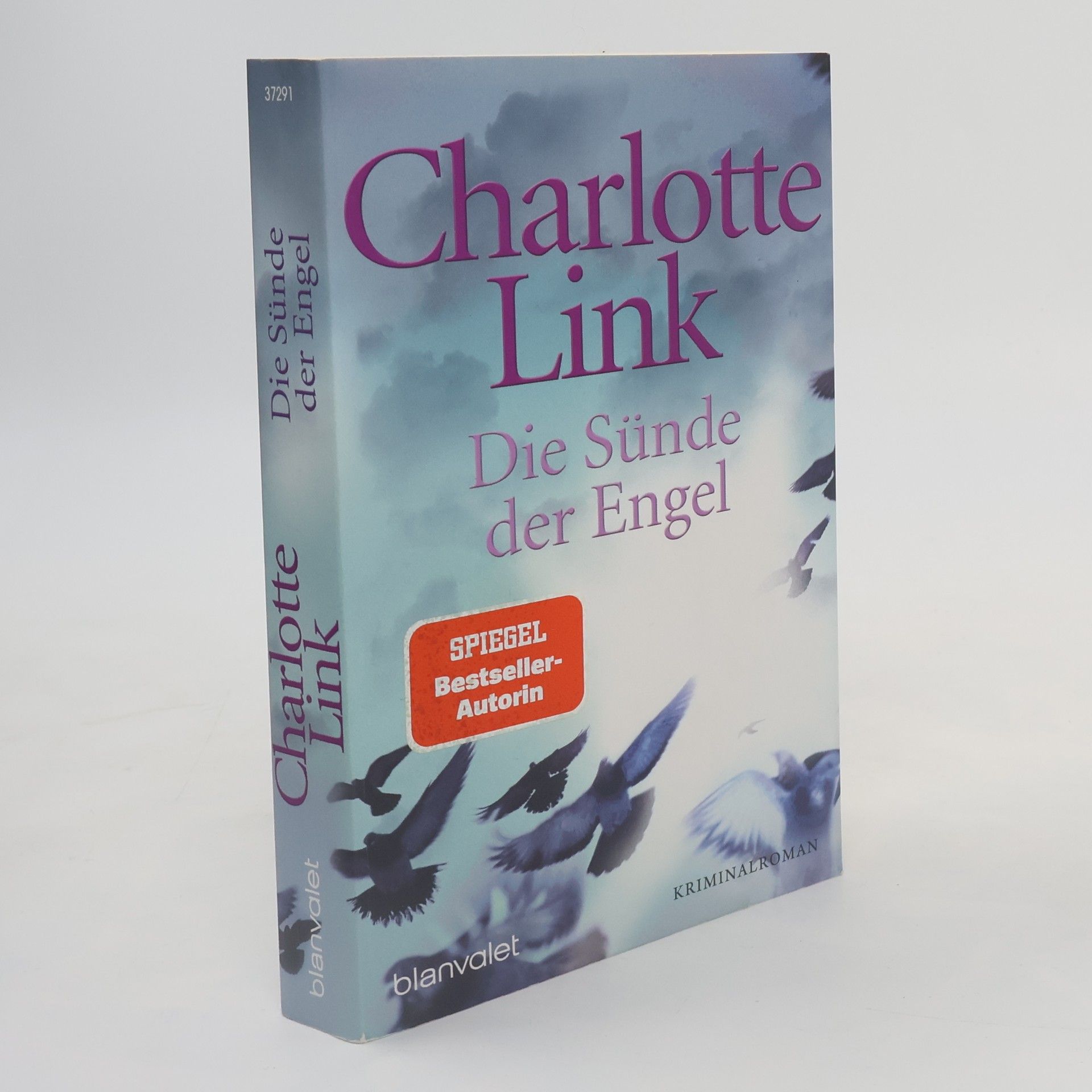 Charlotte Link Die Sünde der Engel
