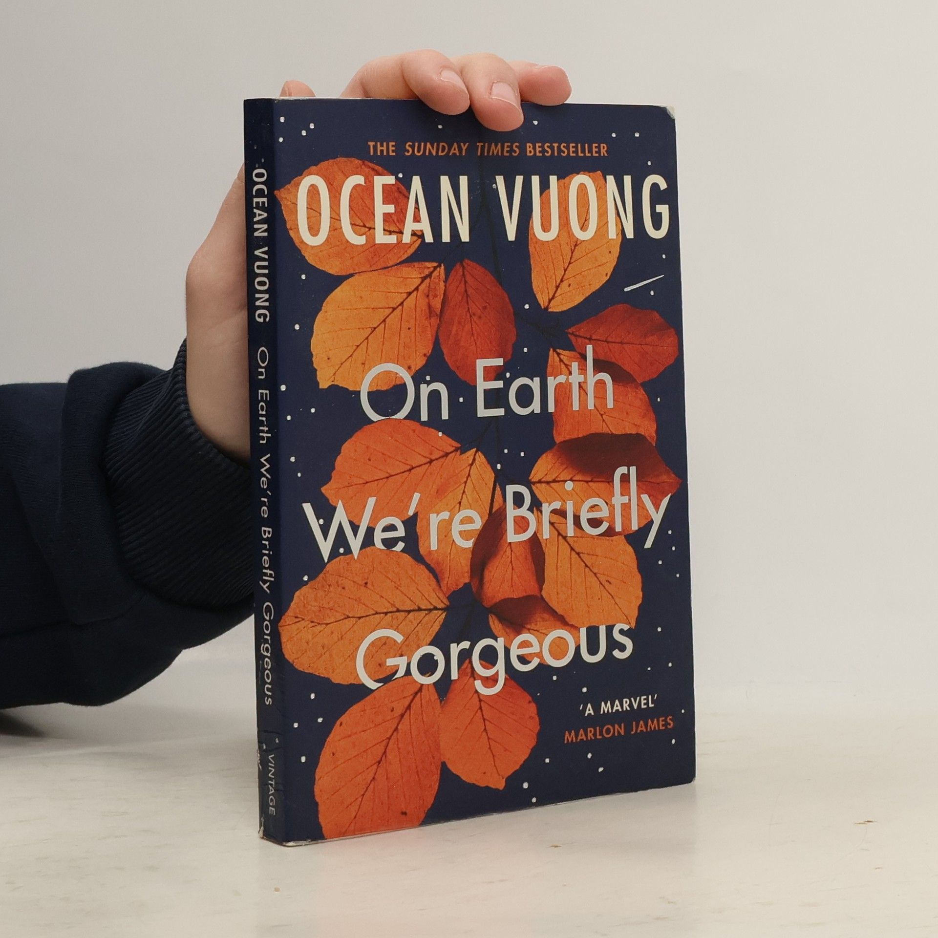 Ocean Vuong On Earth We're Briefly Gorgeous