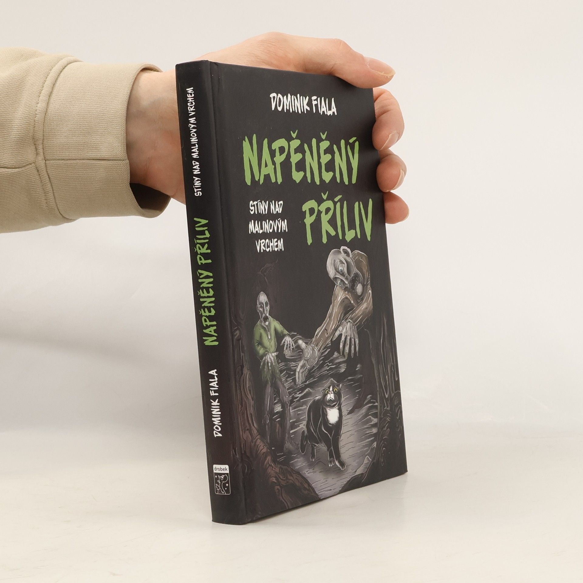 Dominik Fiala Napěněný příliv