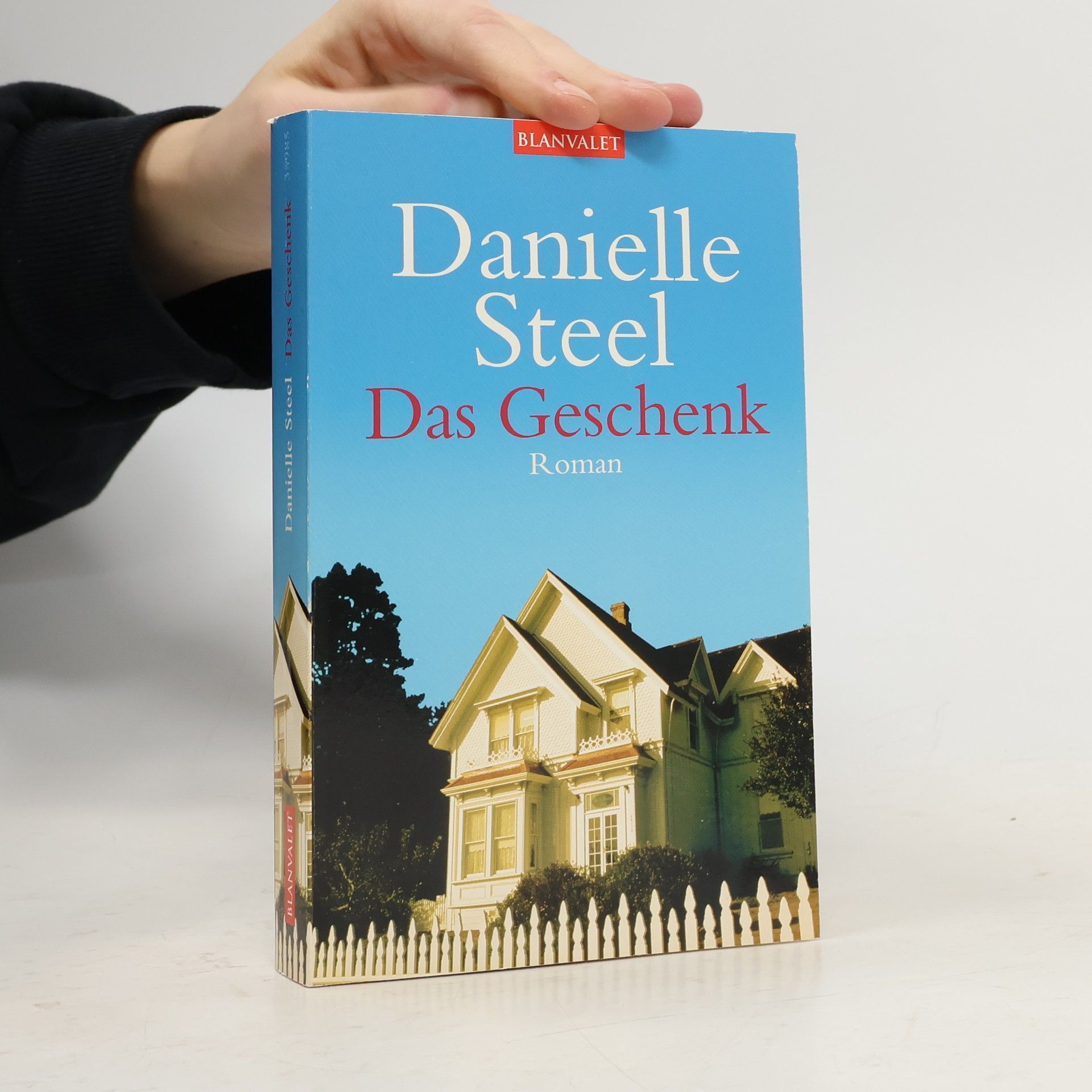 Danielle Steel Das Geschenk