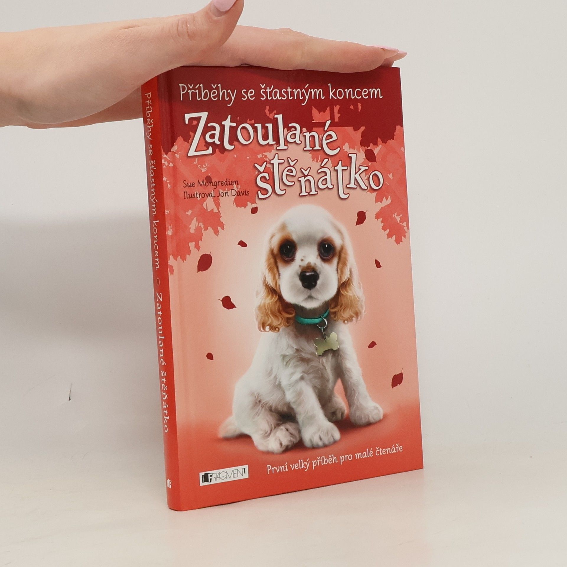 Jon Davis Zatoulané štěňátko