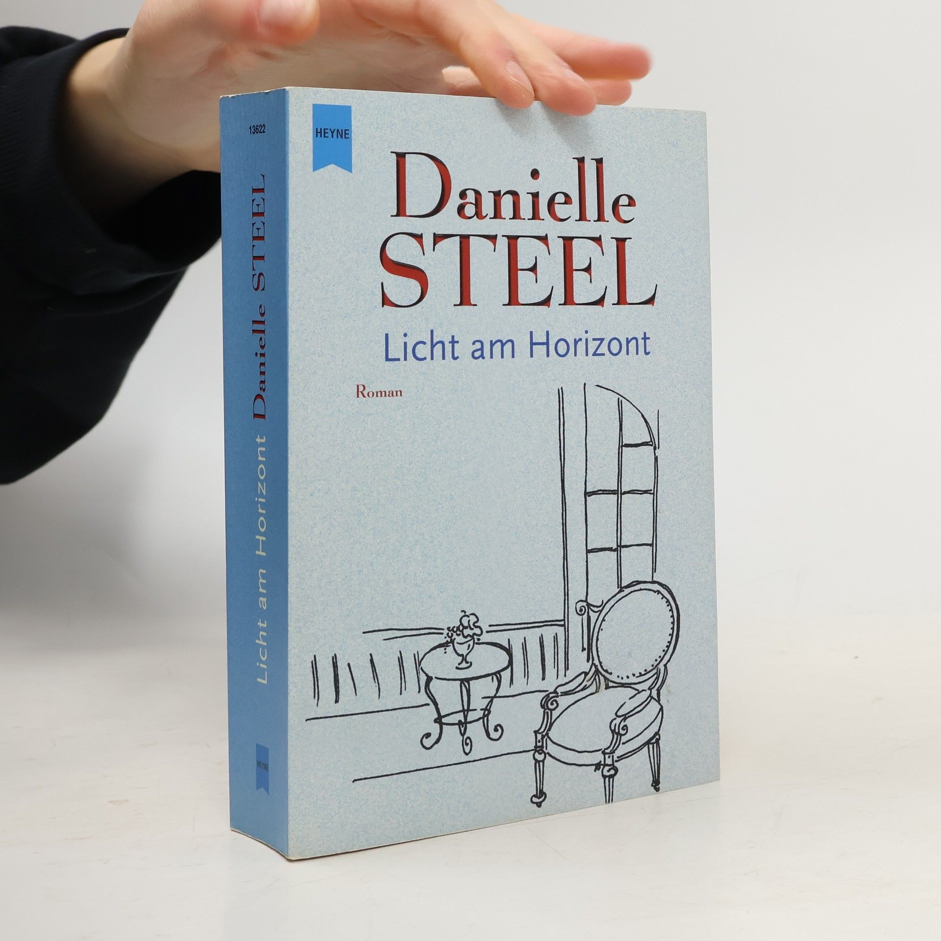 Danielle Steel Licht am Horizont