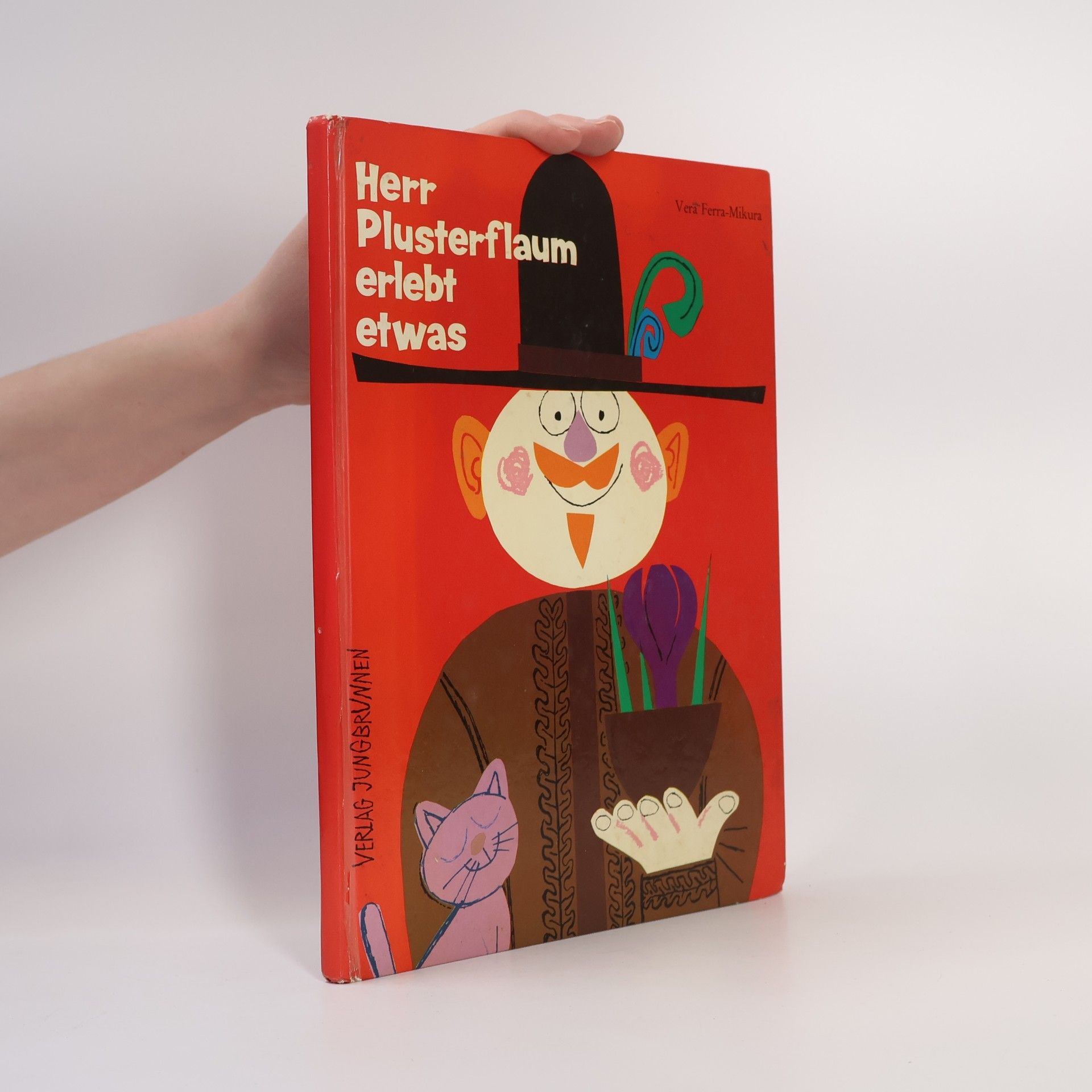 Collectif d'auteurs Herr Plusterflaum erlebt etwas