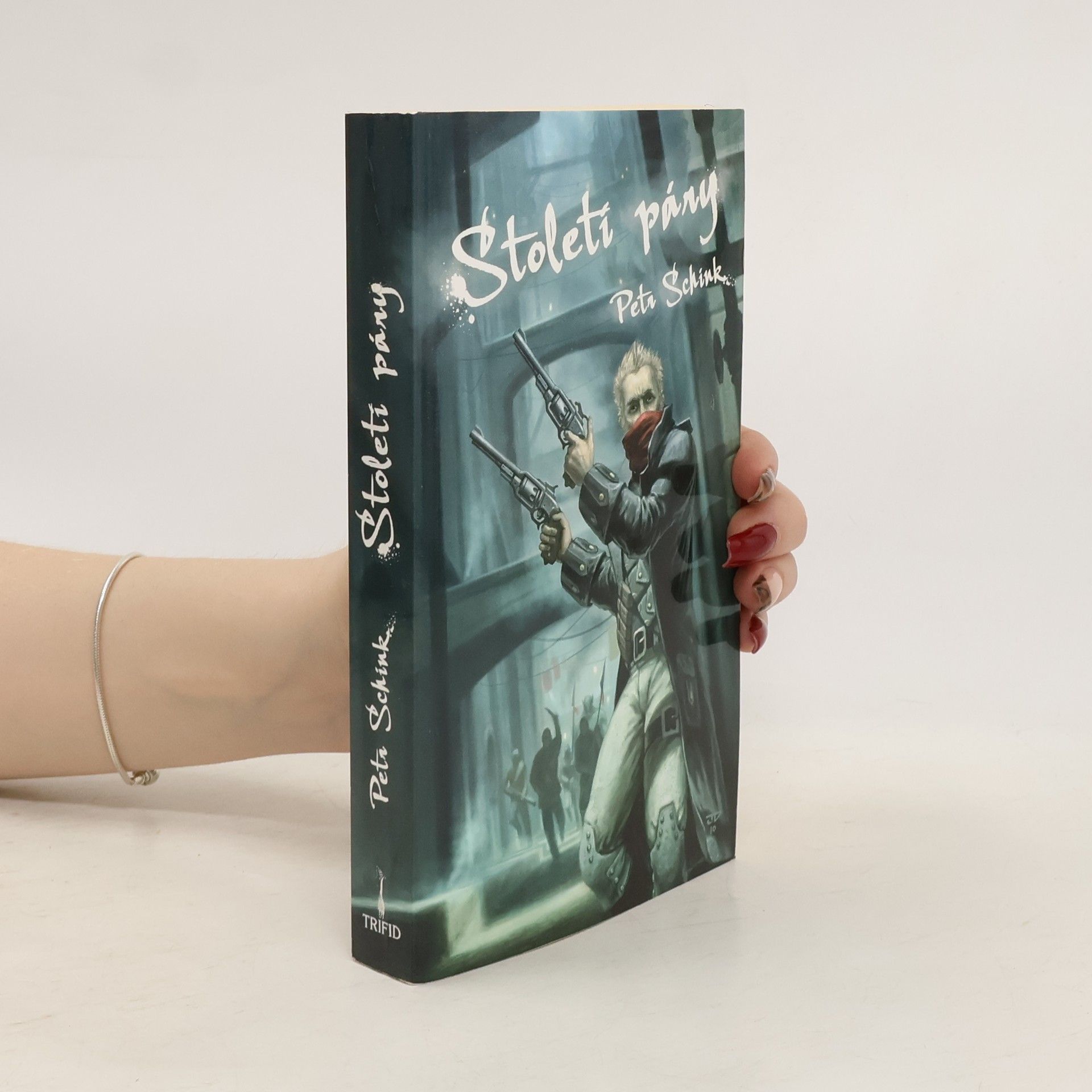 Petr Schink Století páry