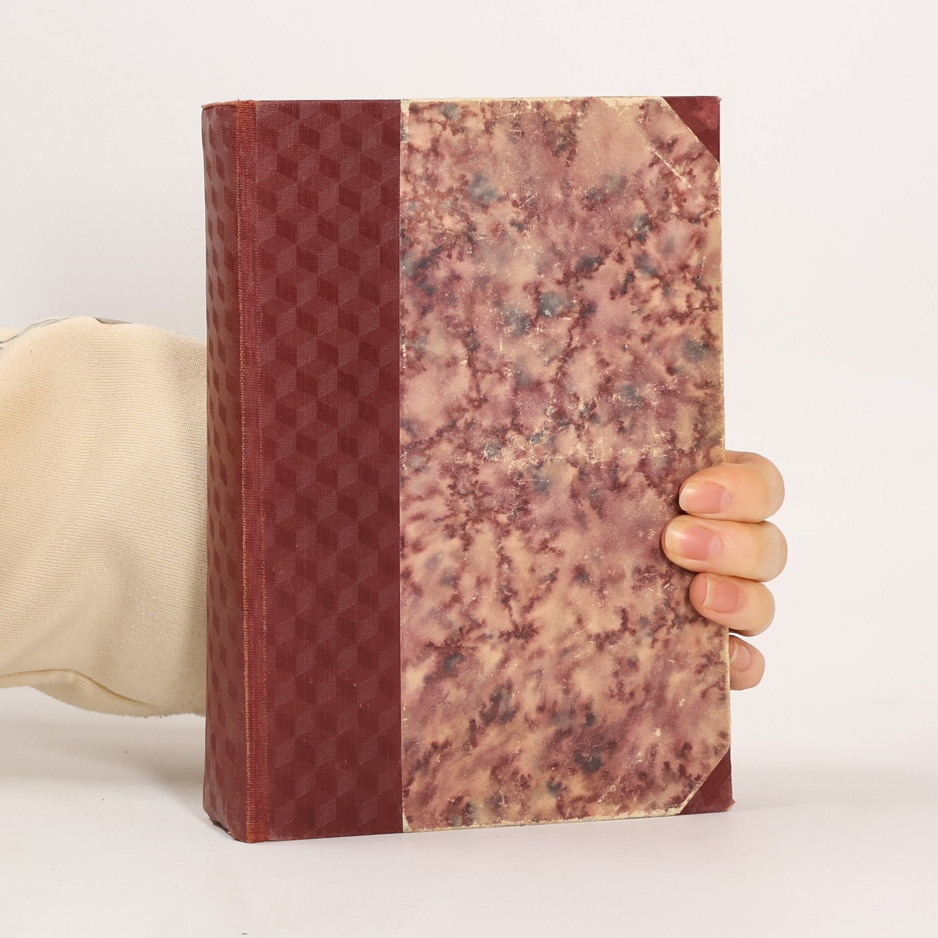 Josef Hais Týnecký Bludičky v Podlesí