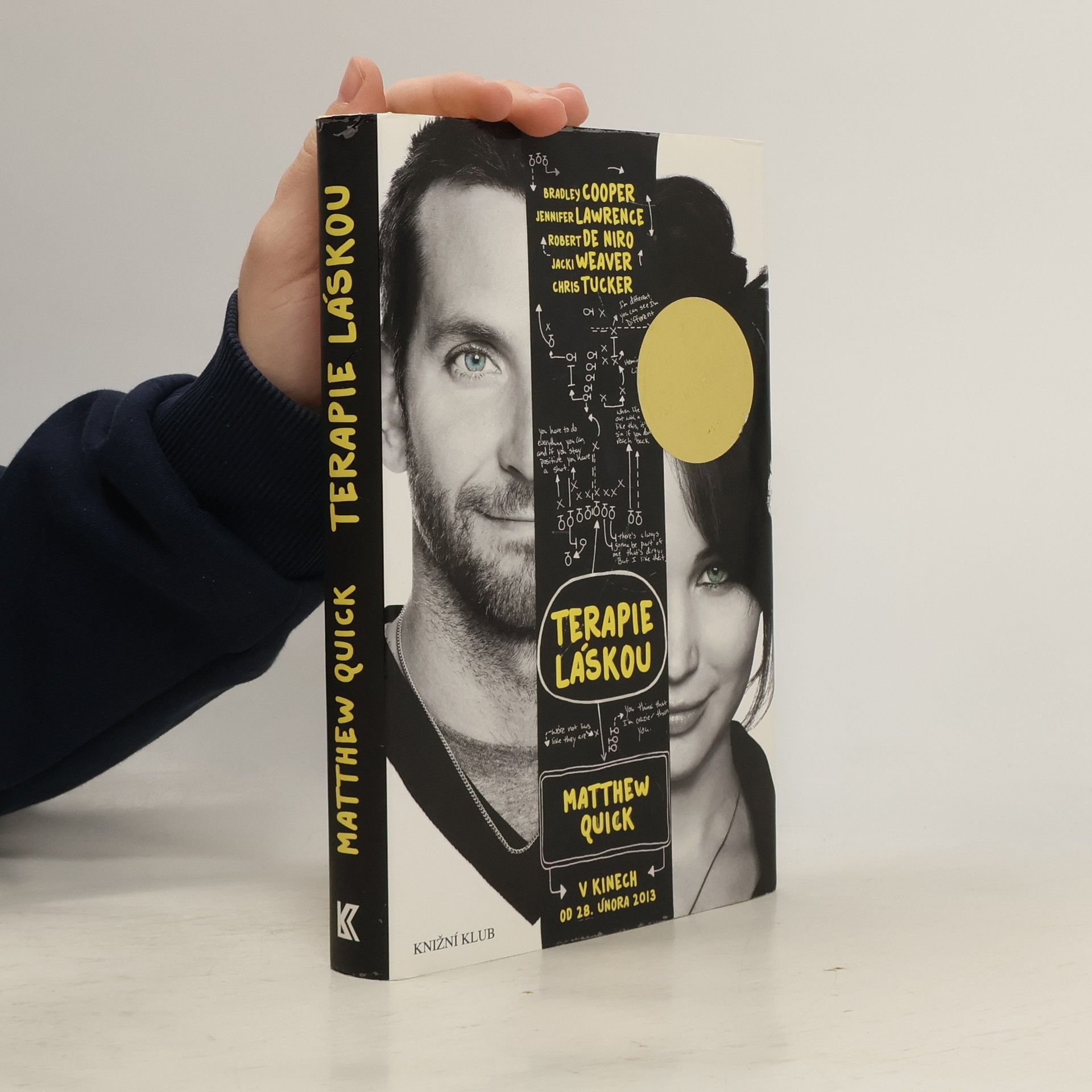 Matthew Quick Terapie láskou