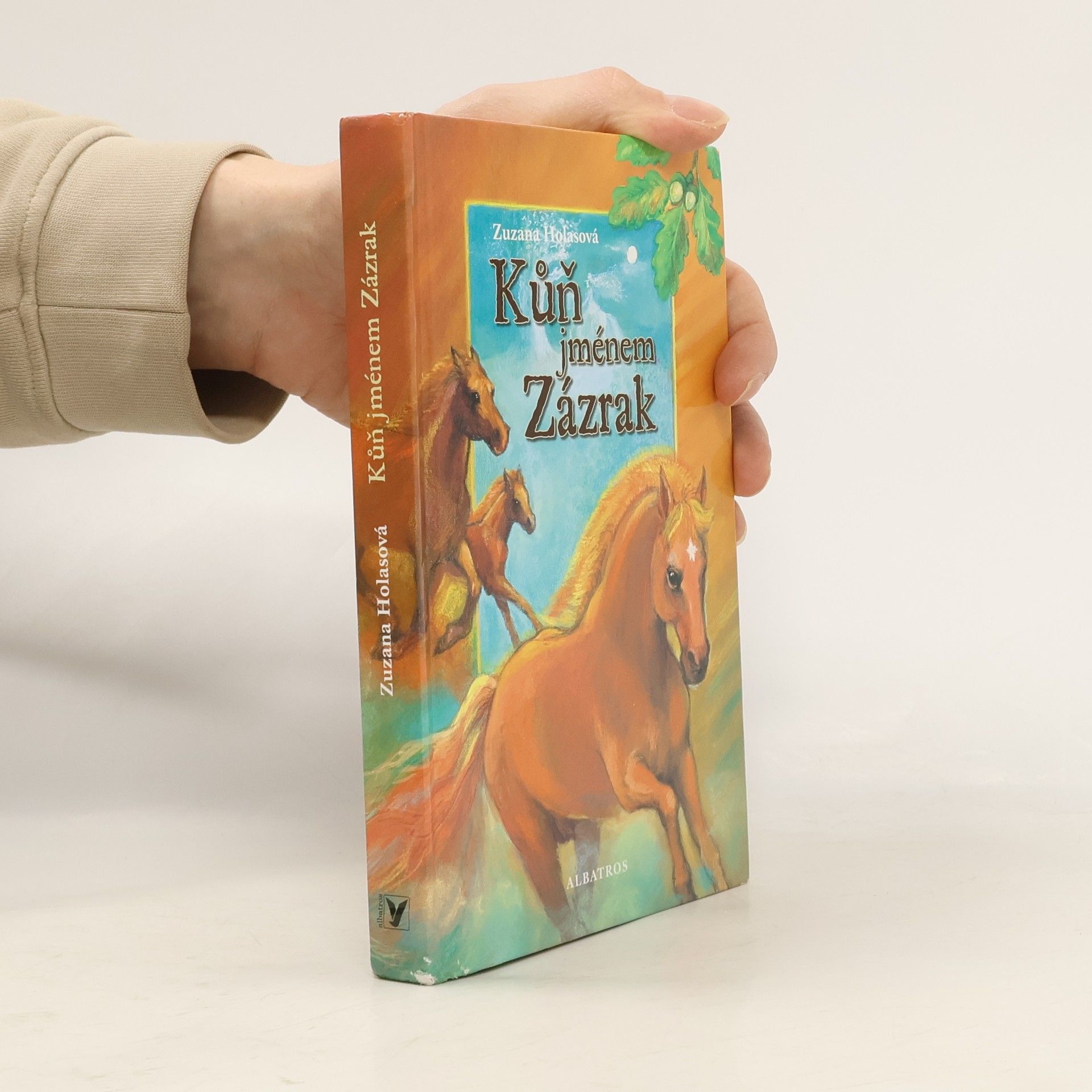 Zuzana Holasova Kůň jménem Zázrak
