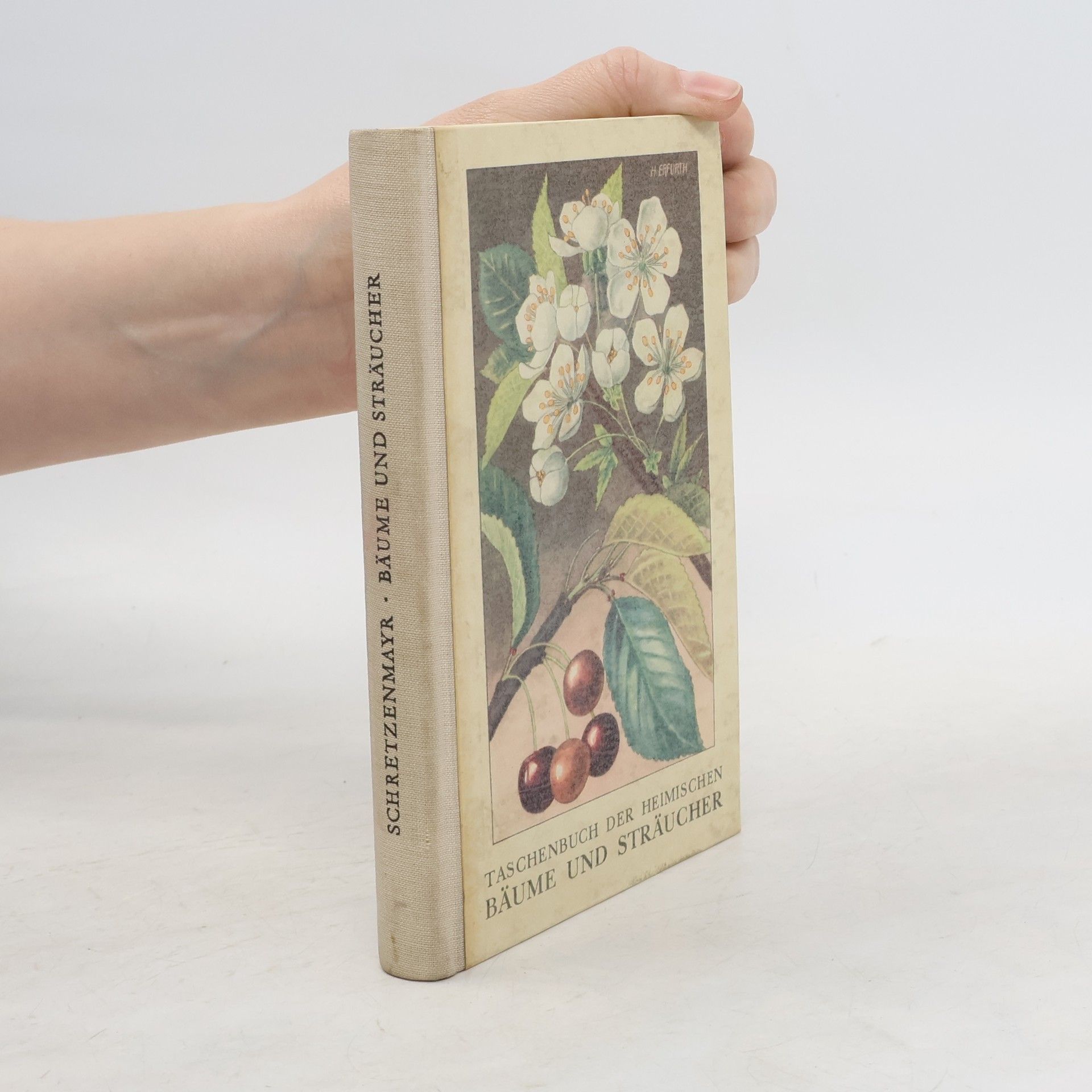 Martin Schretzenmayr Taschenbuch der heimischen Bäume und Sträucher