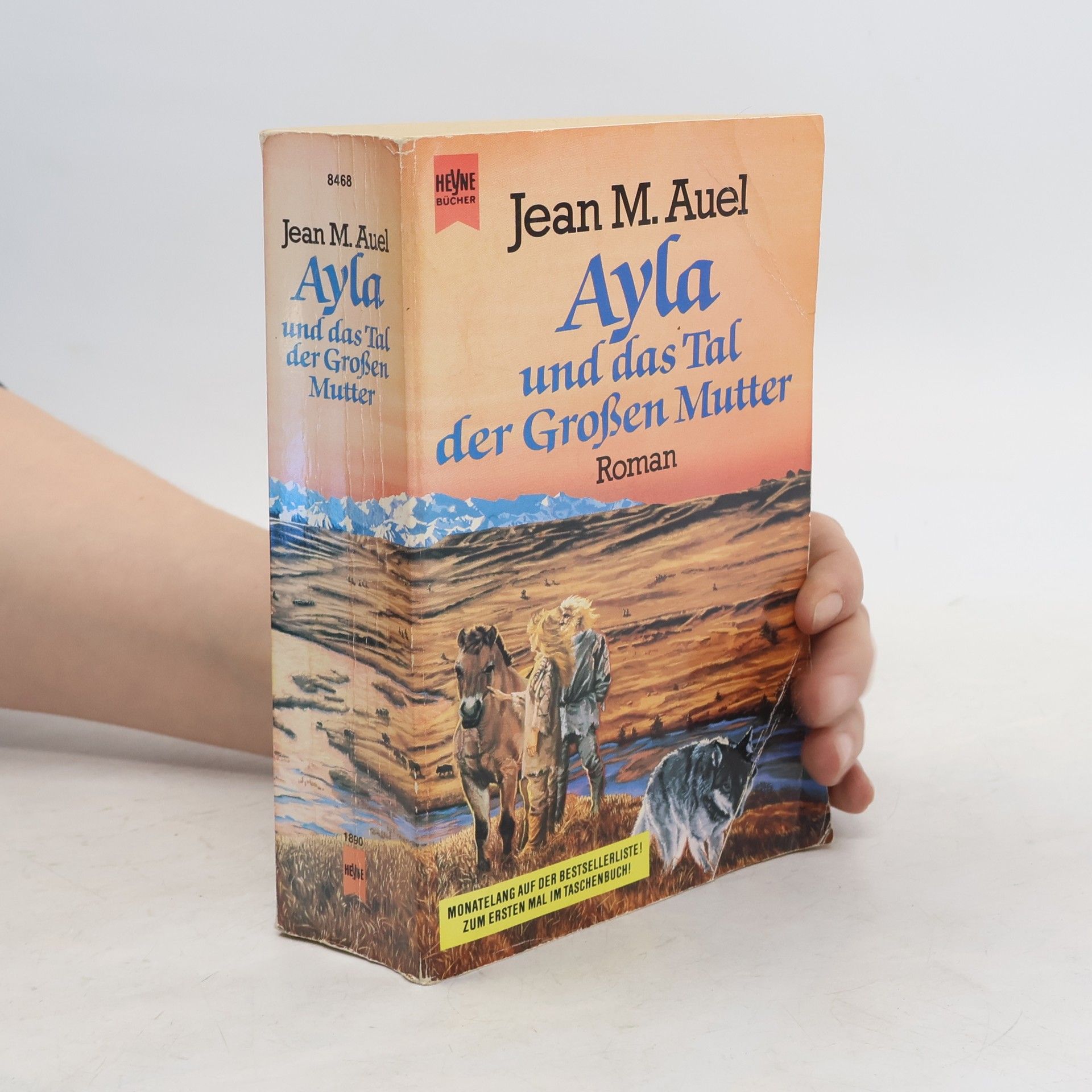 Jean Marie Auel Ayla und das Tal der grossen Mutter