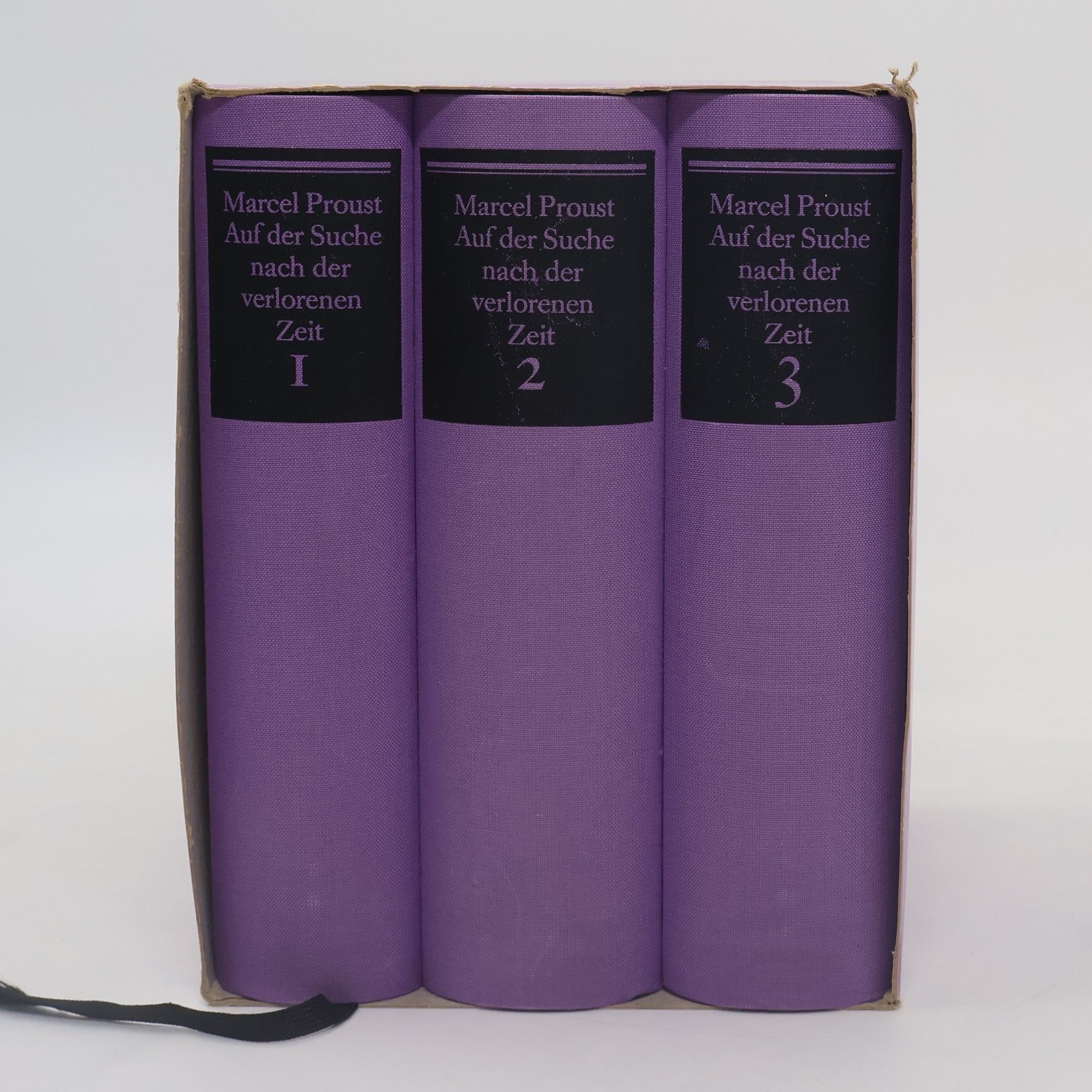 Marcel Proust Auf der Suche nach der verlorenen Zeit 1-3