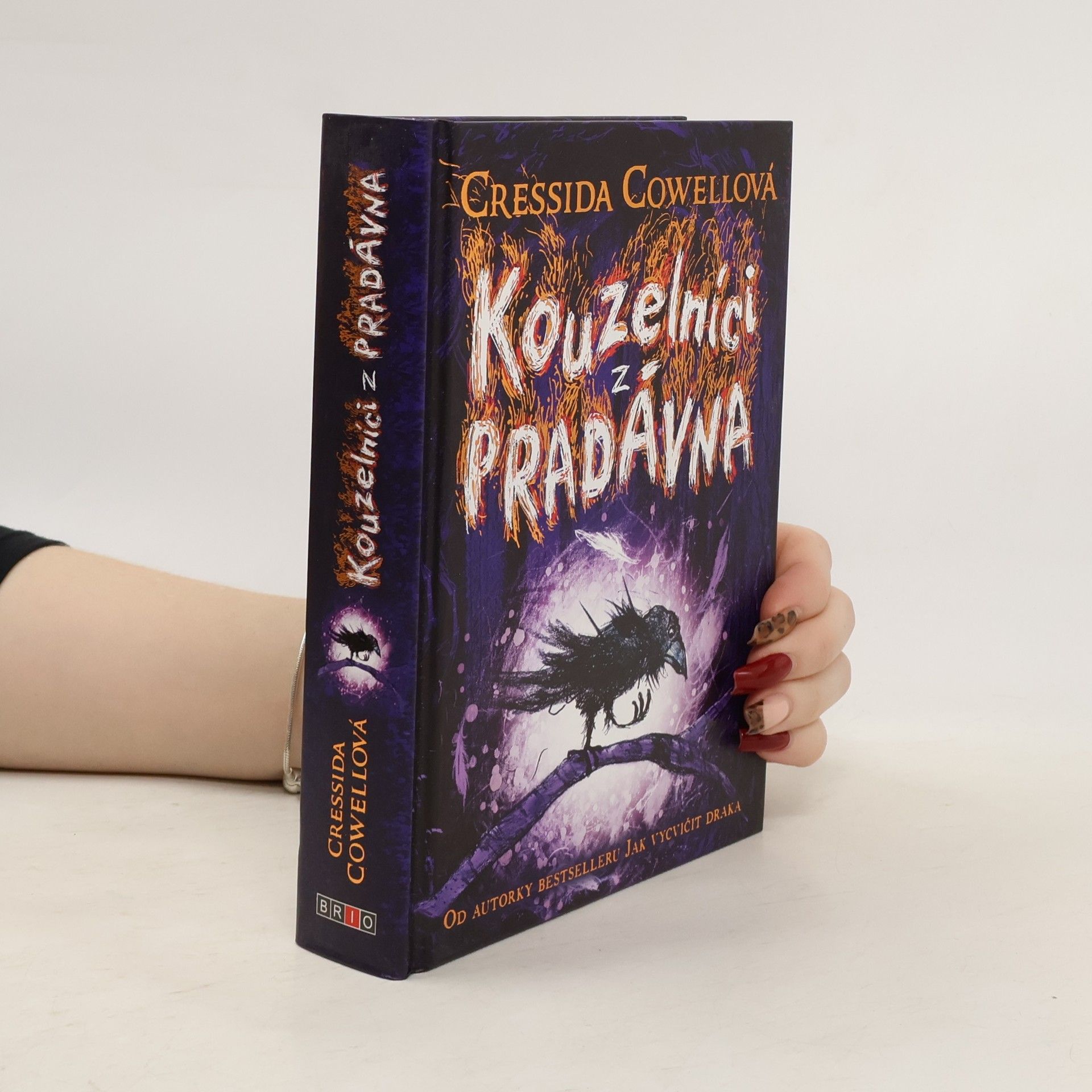 Cressida Cowell Kouzelníci z pradávna