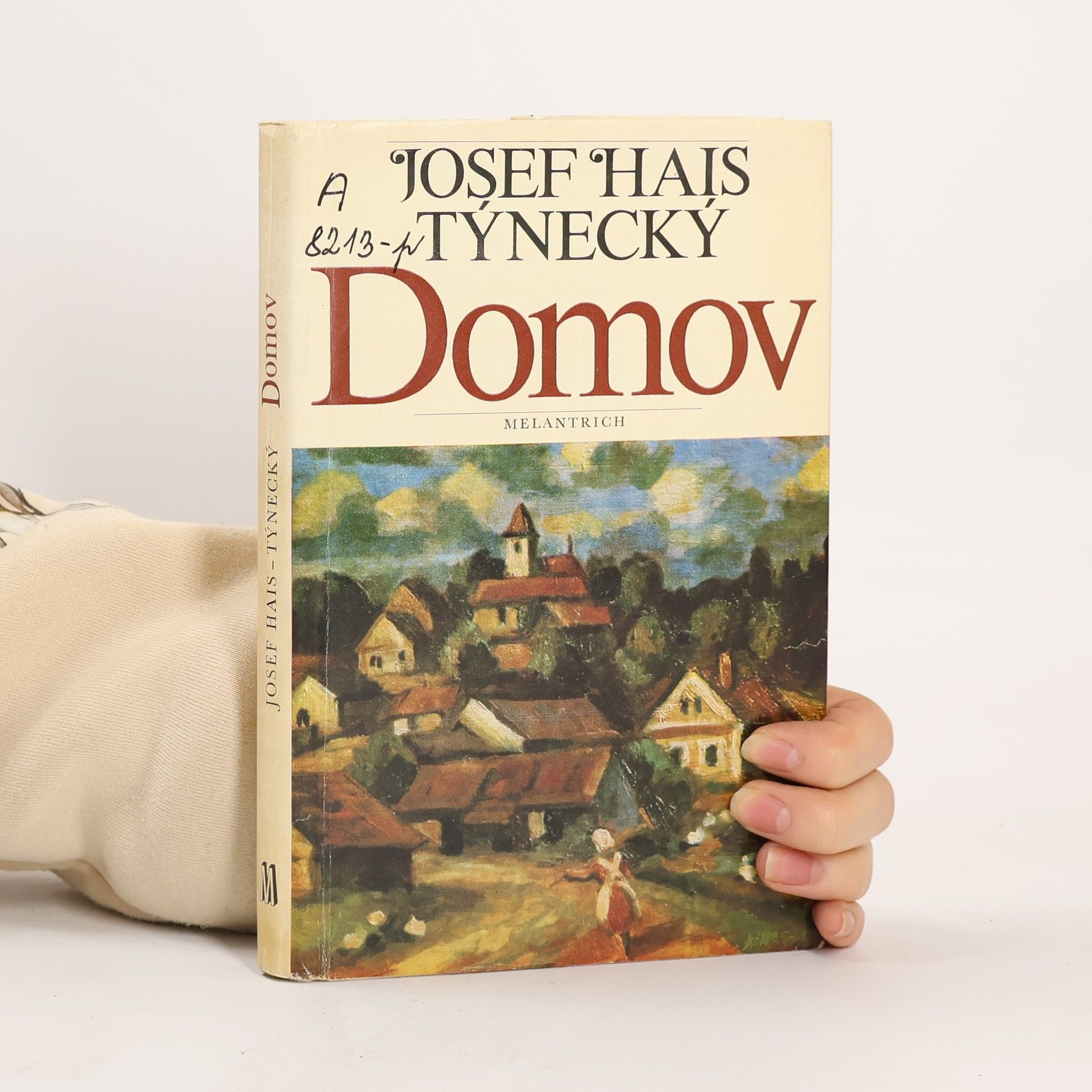 Josef Hais Týnecký Domov