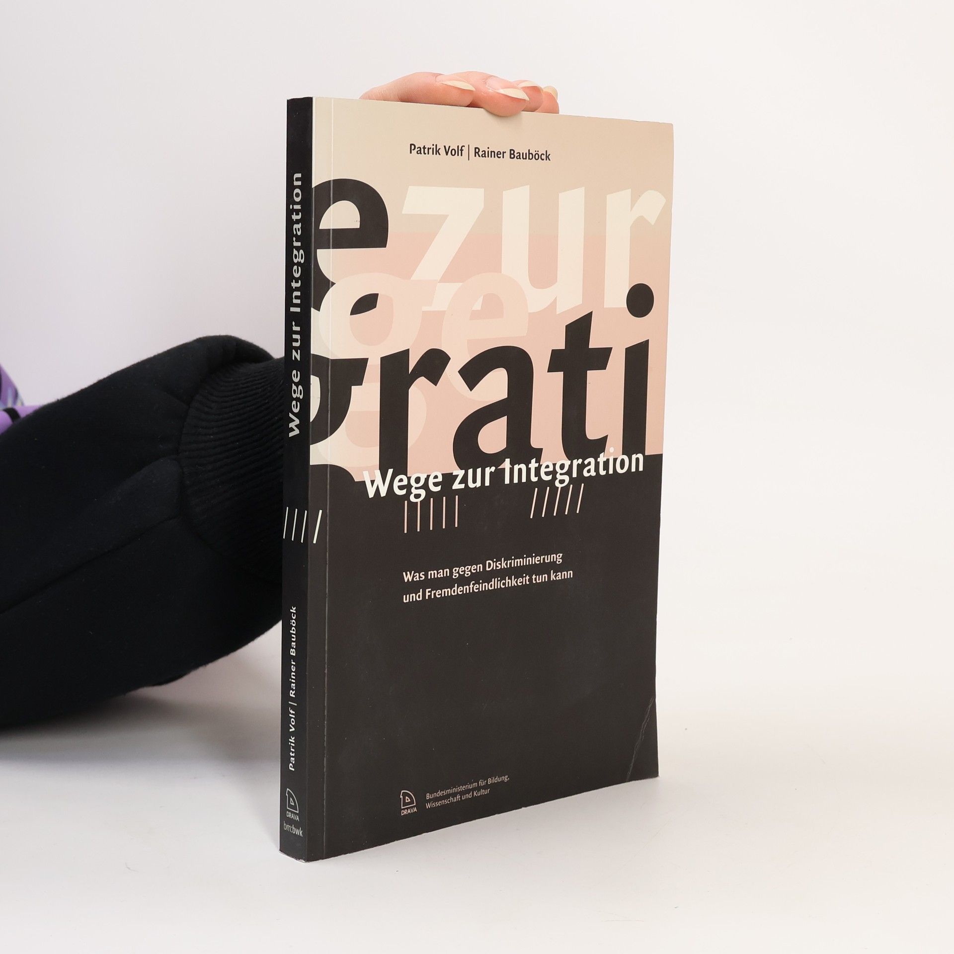 Patrik-Paul Volf Wege zur Integration