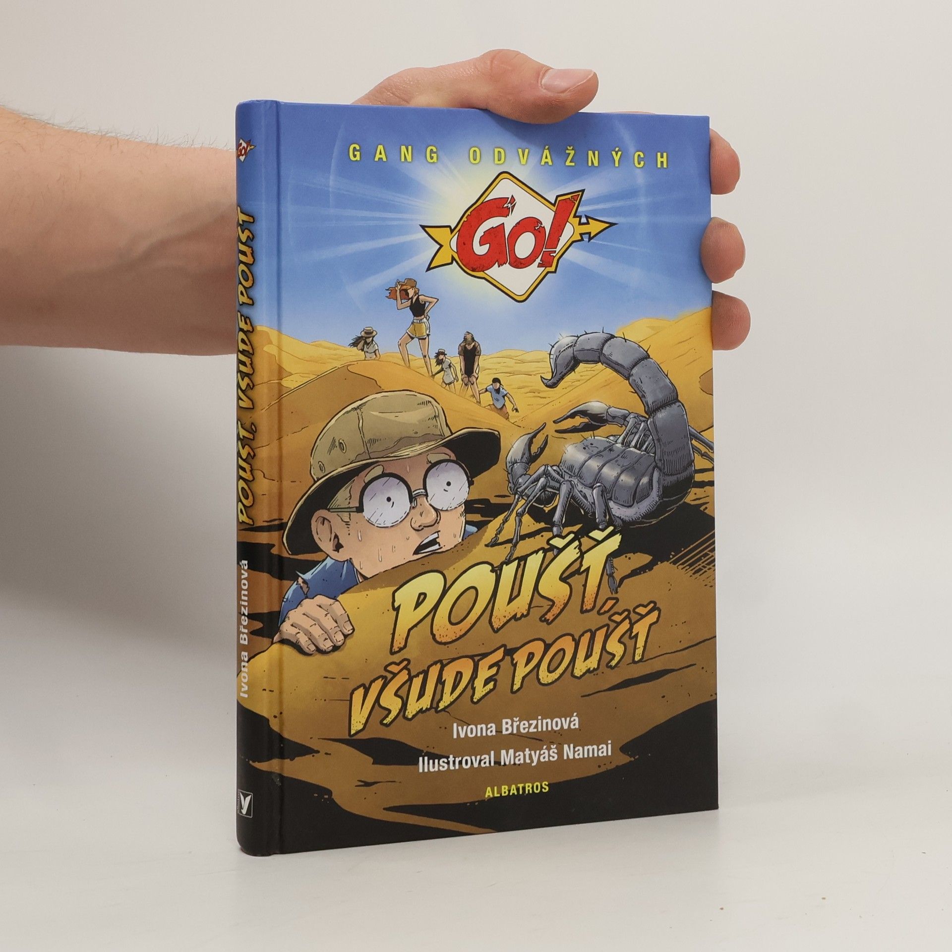 Ivona Březinová Poušť, všude poušť