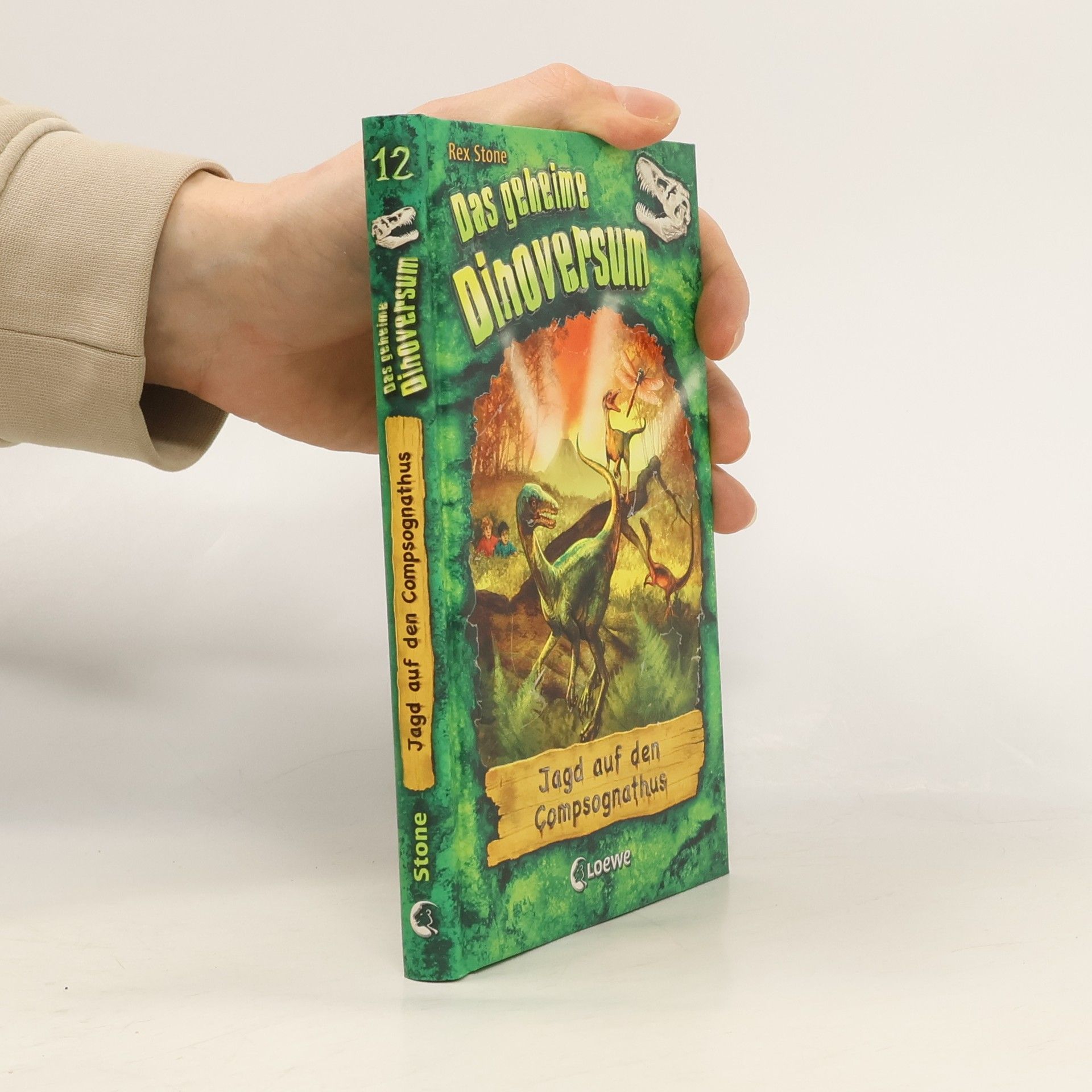 Hayley Daze Das geheime Dinoversum 12