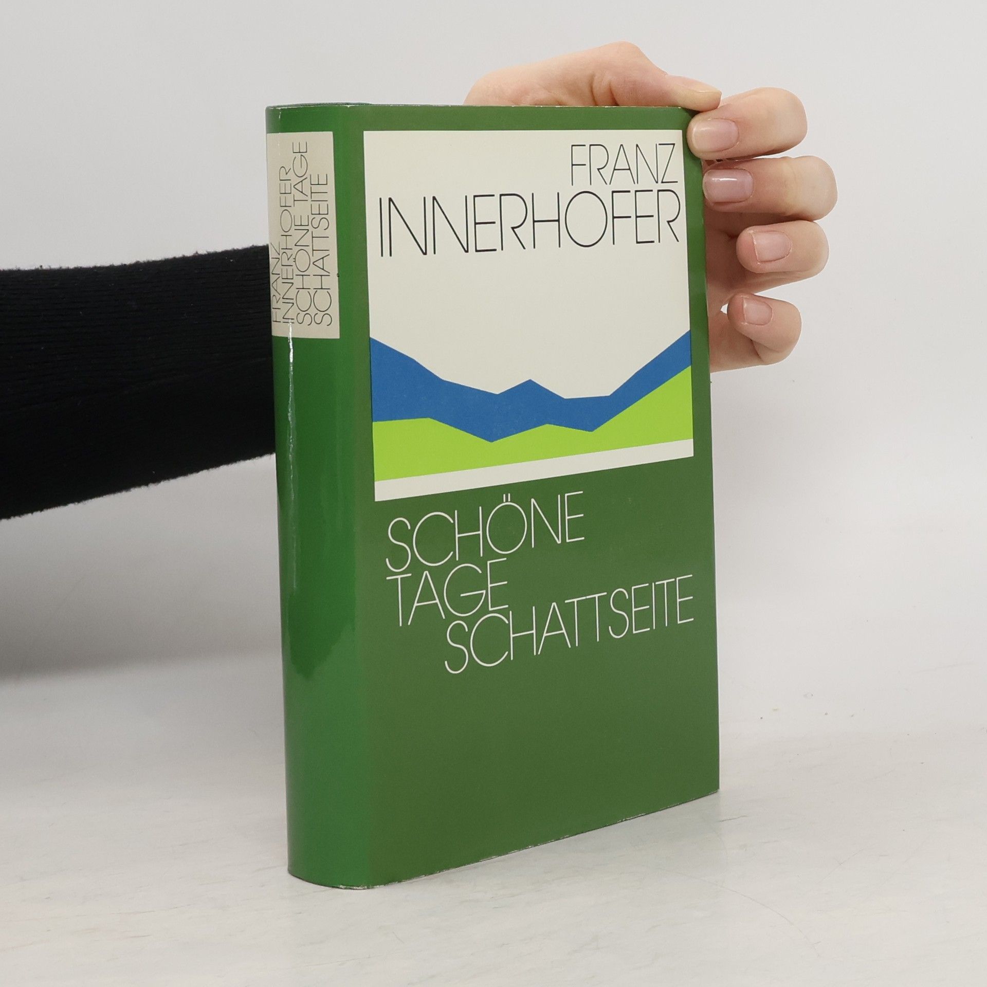 Franz Innerhofer Schöne Tage. Schattseite