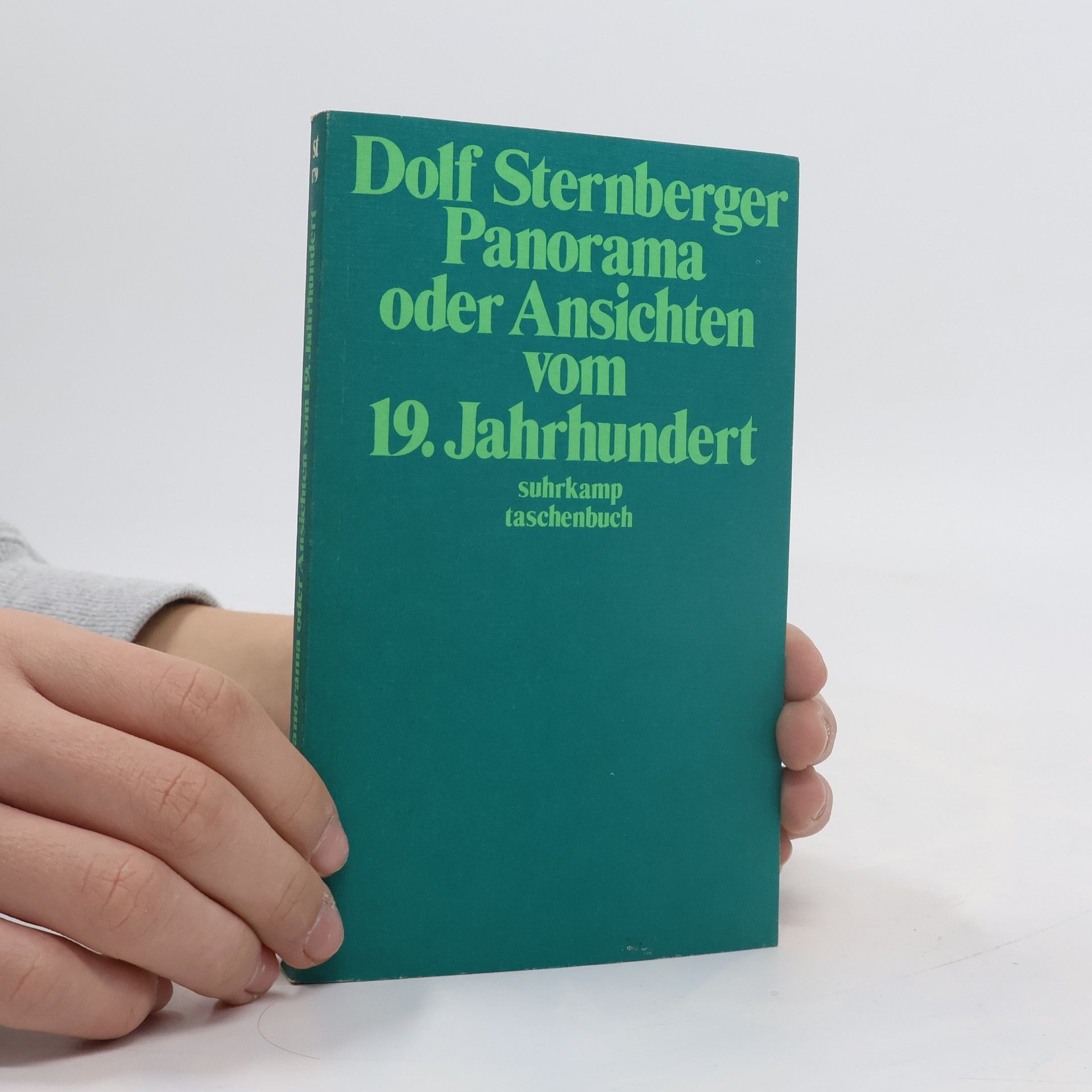 Dolf Sternberger Panorama oder Ansichten vom 19. Jahrhundert