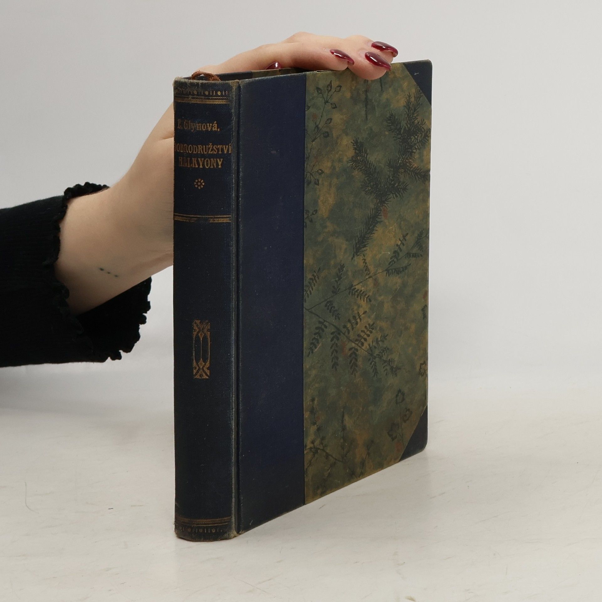 Karel Weinfurter Dobrodružství Halkyony