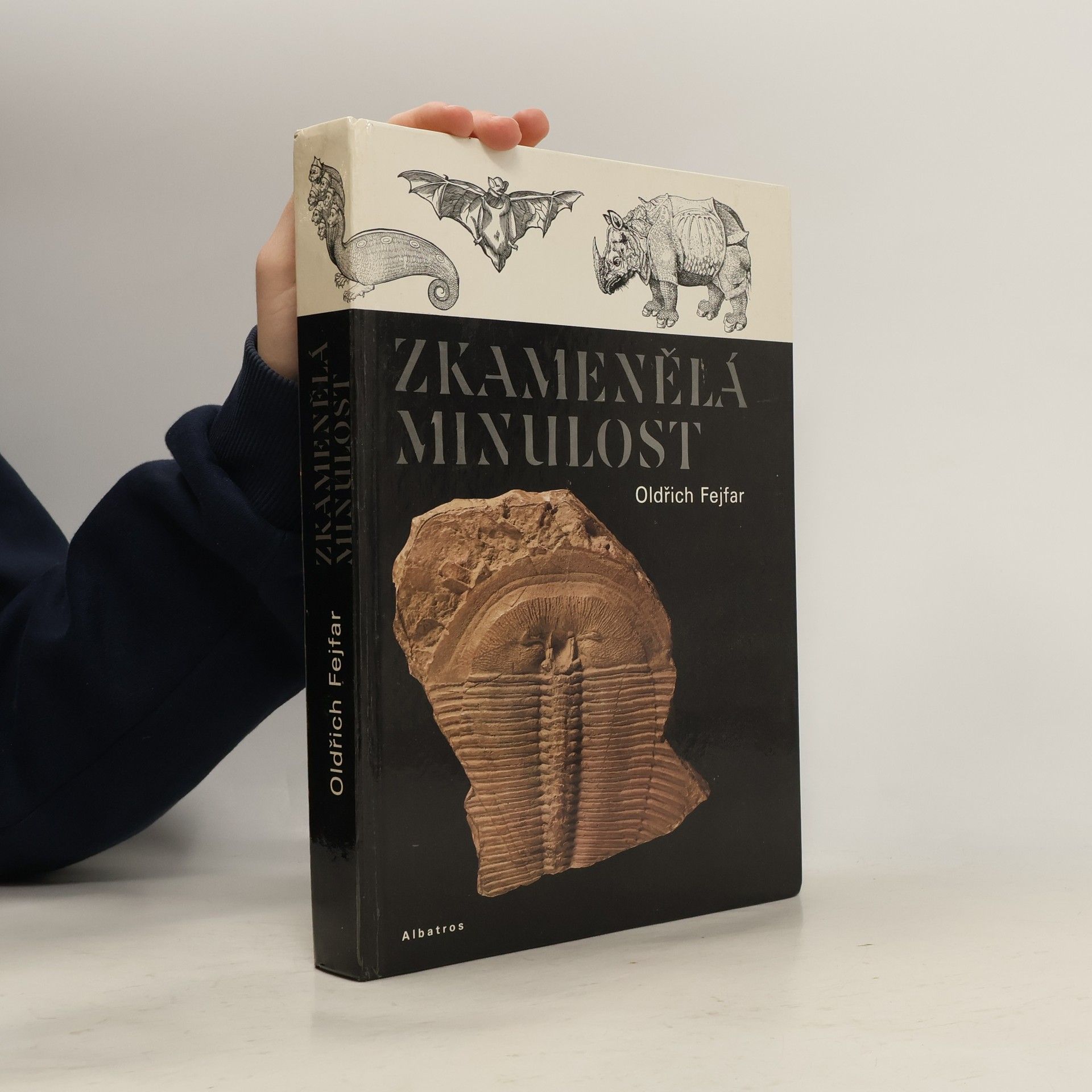 Pavel Štecha Zkamenělá minulost