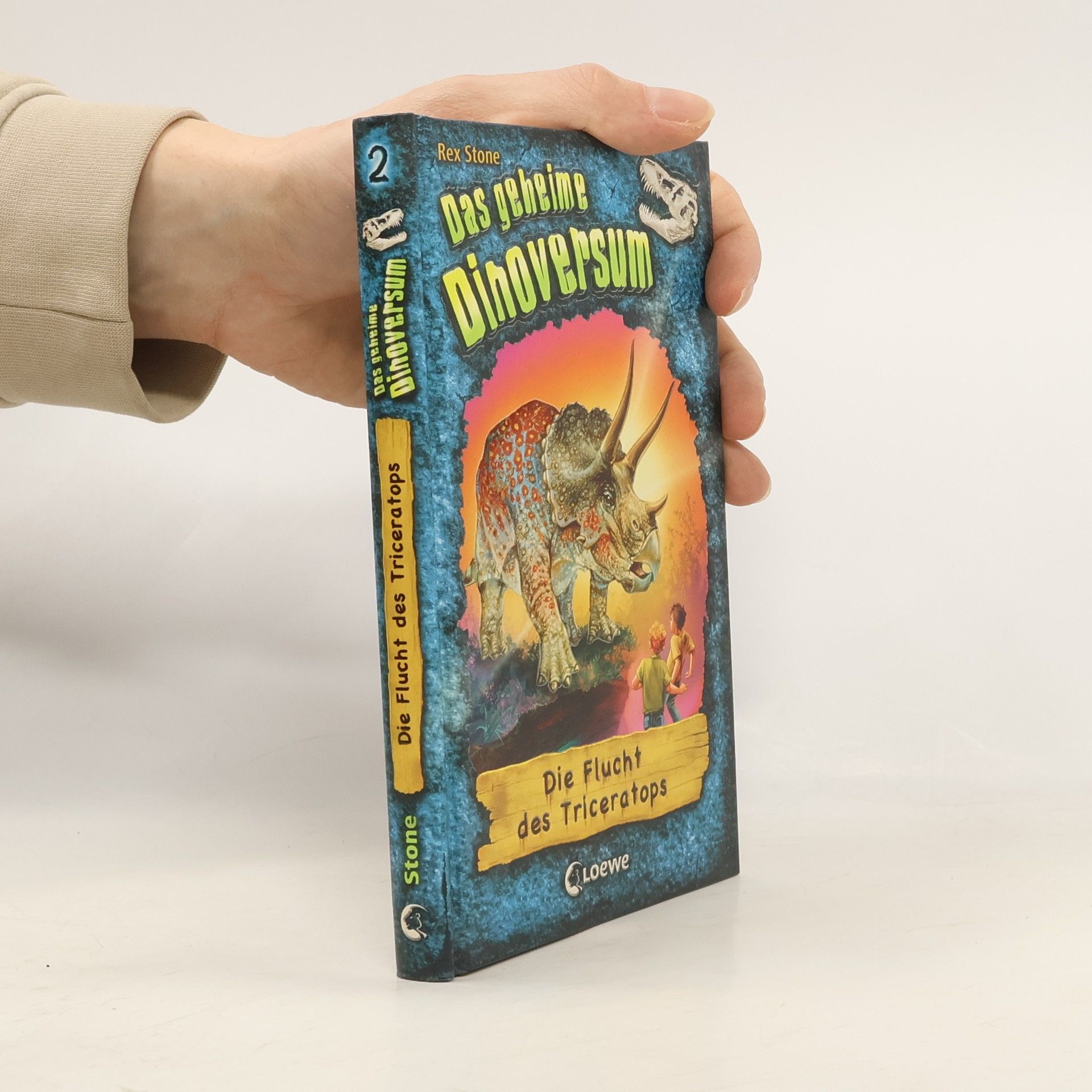 Hayley Daze Das geheime Dinoversum - Die Flucht des Triceratops