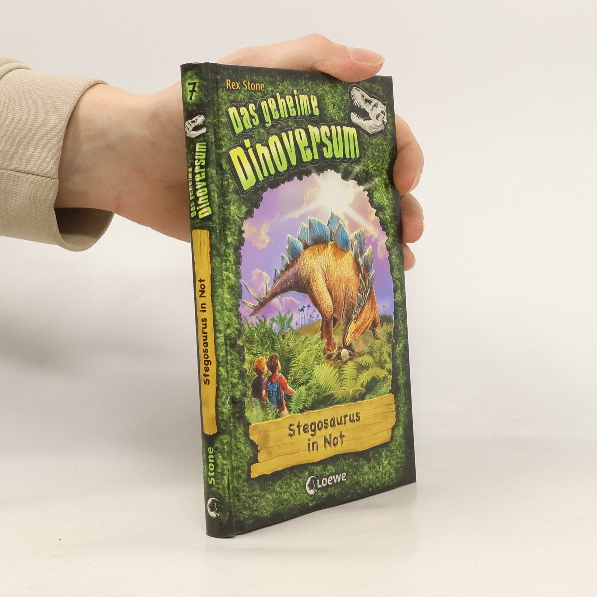 Hayley Daze Das geheime Dinoversum - Stegosaurus in Not