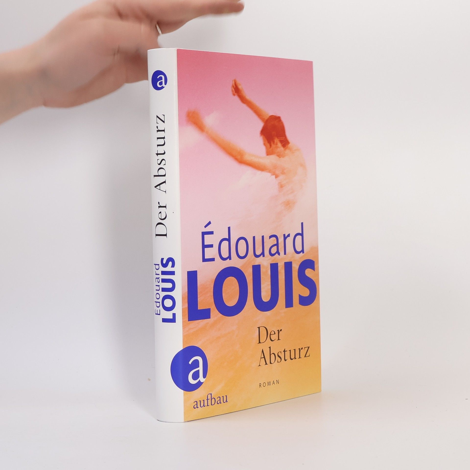 Édouard Louis Der Absturz