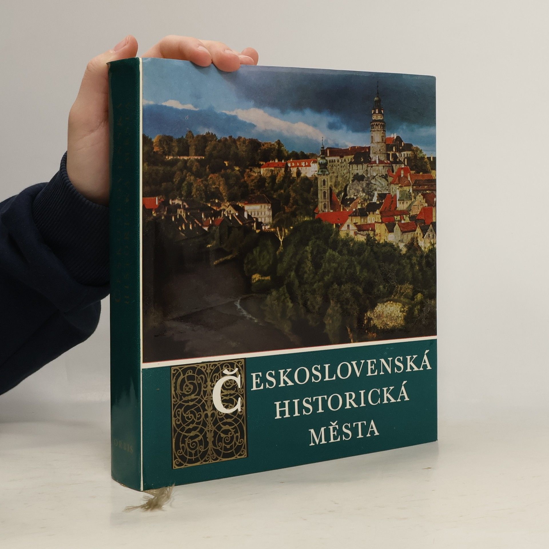Autorenkollektiv Československá historická města