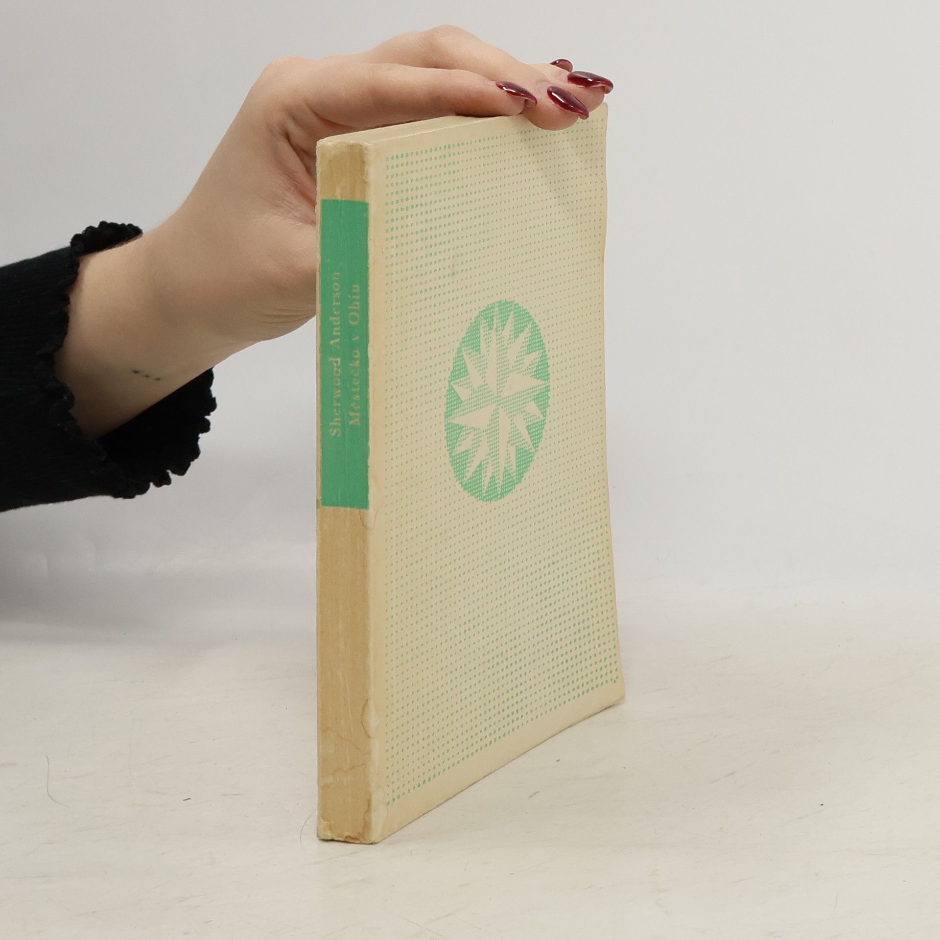 Sherwood Anderson Městečko v Ohiu