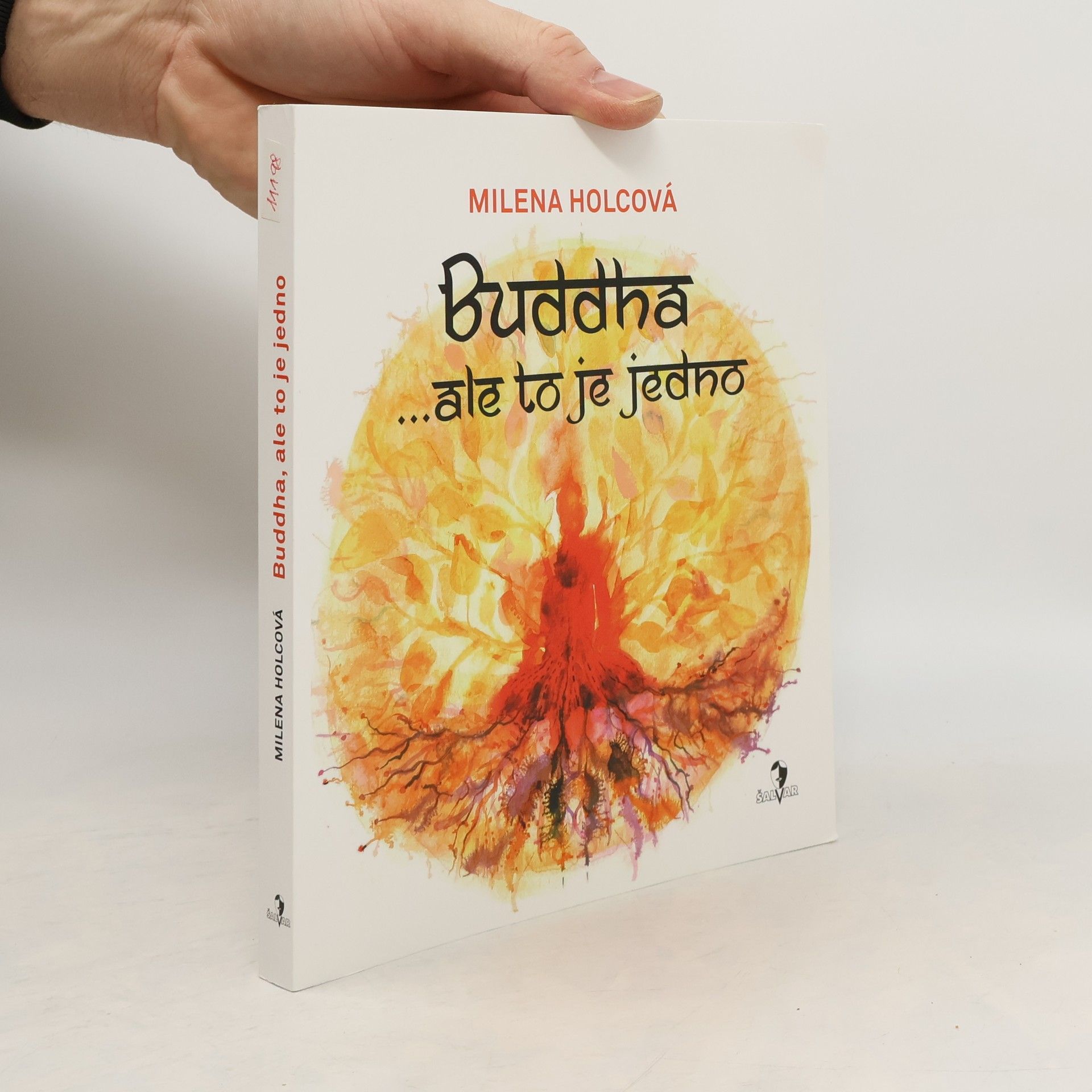 Milena Holcová Buddha ...ale to je jedno