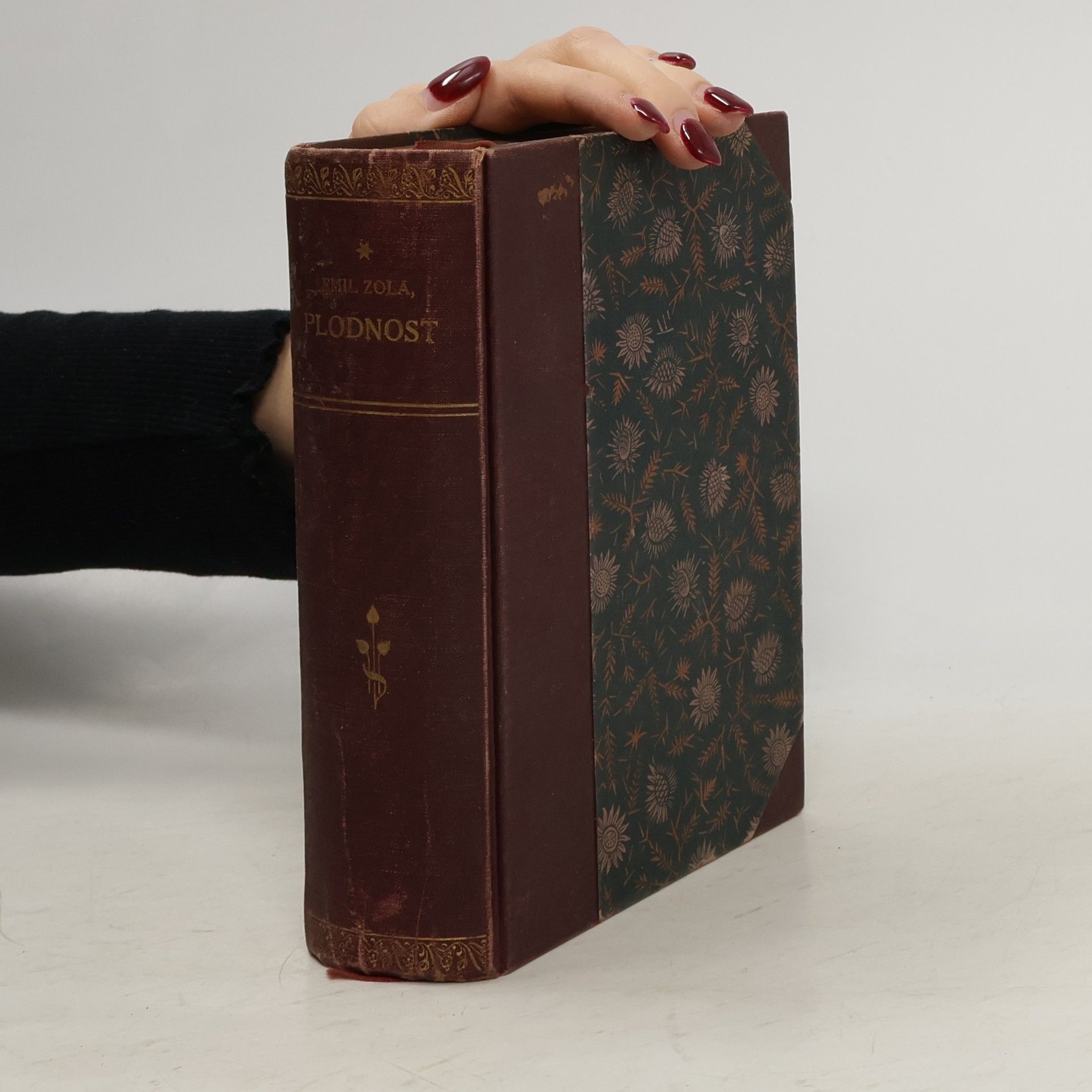 Émile Zola Plodnost