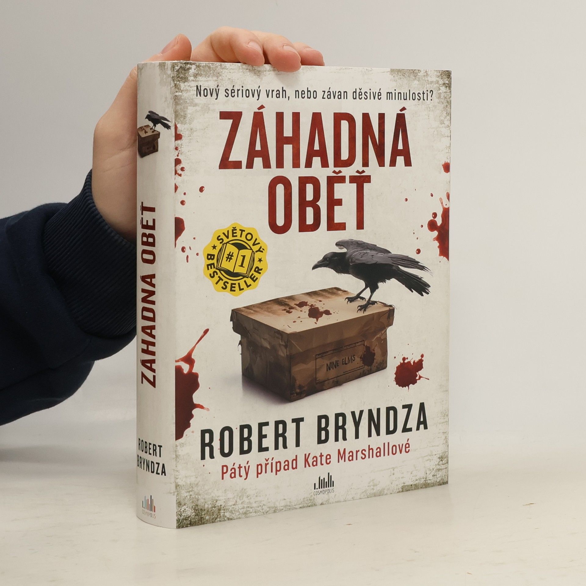 Robert Bryndza Záhadná oběť