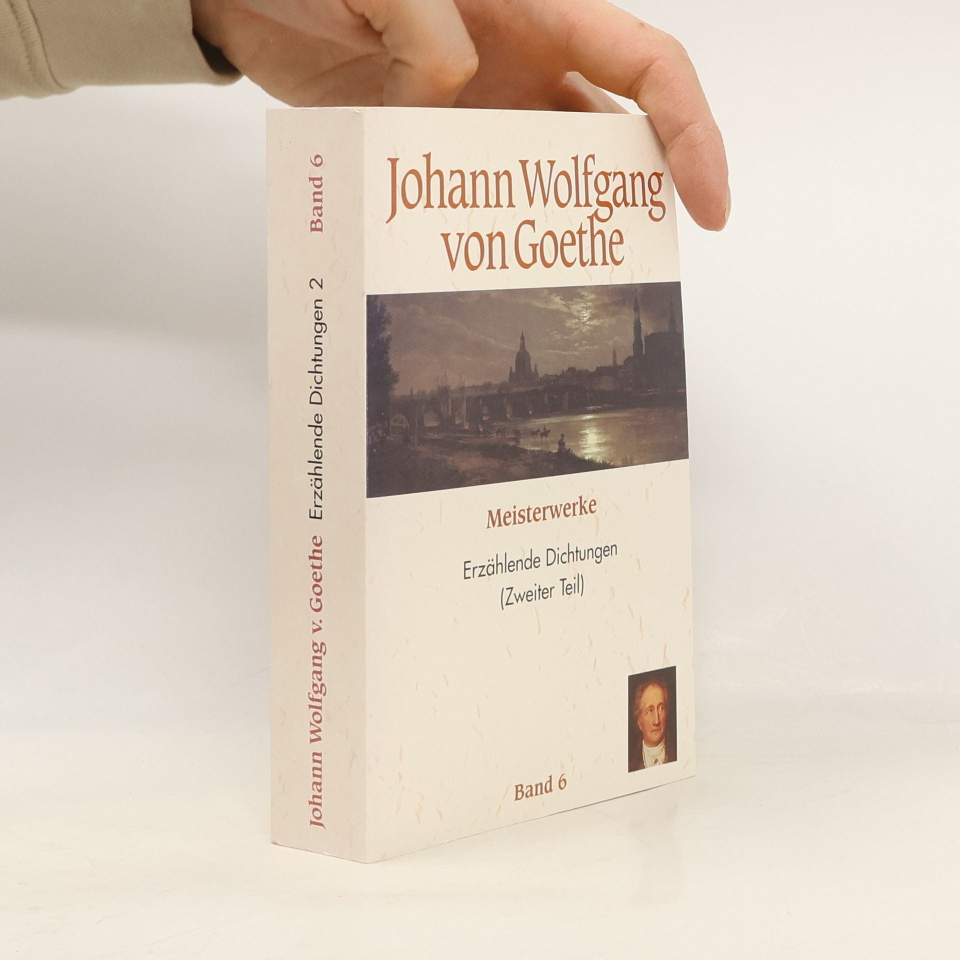 Johann Wolfgang von Goethe Meisterwerke. Erzählende Dichtungen (Zweiter Teil). Band 6