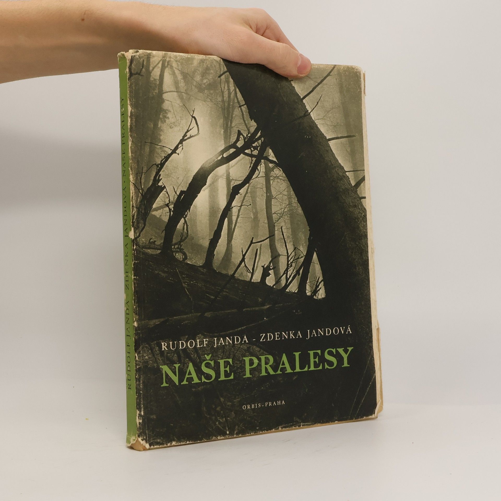 Zdenka Jandová Naše pralesy