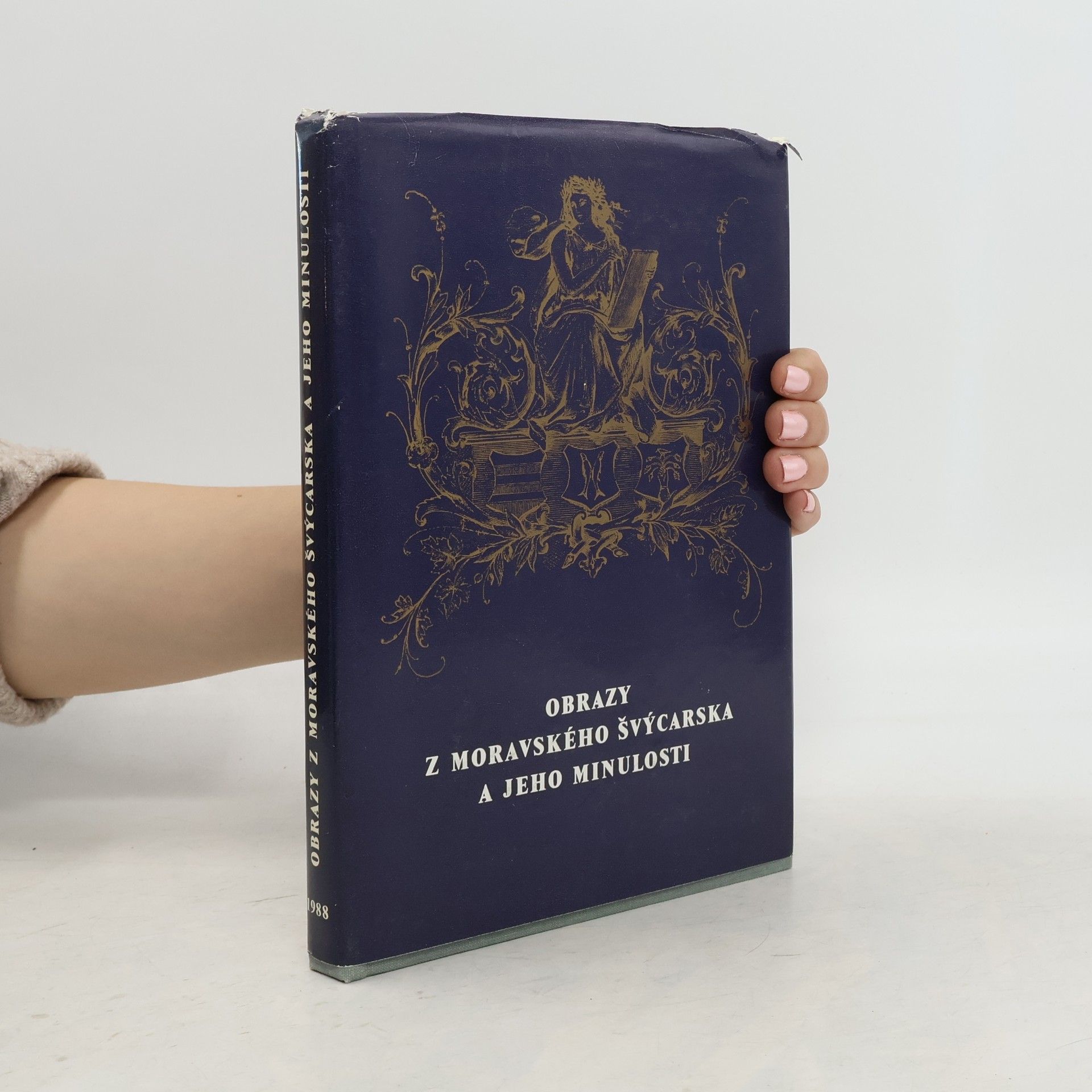 Jindřich Wankel Obrazy z Moravského Švýcarska a jeho minulosti