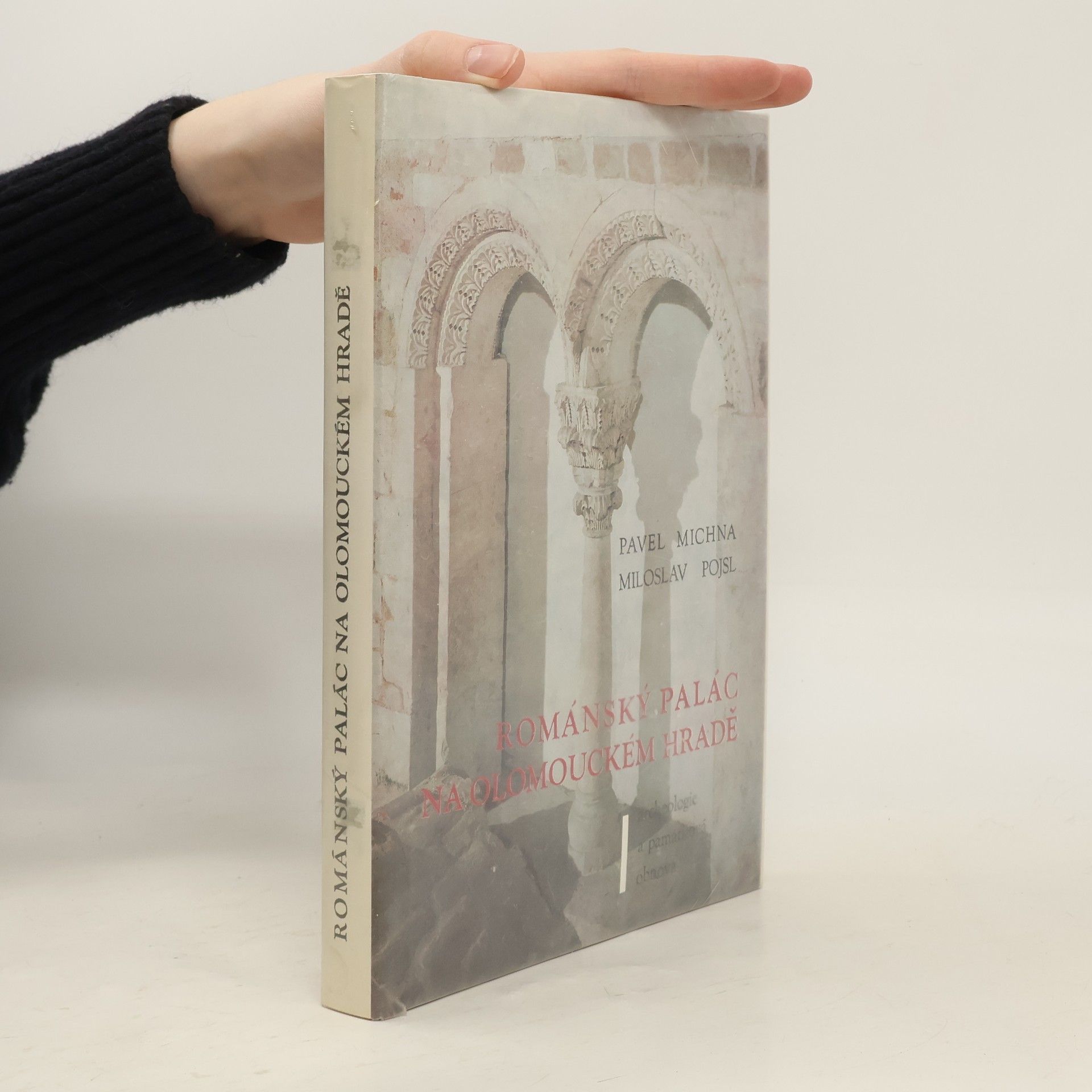 Pavel Michna Románský palác na Olomouckém hradě : archeologie a památková obnova