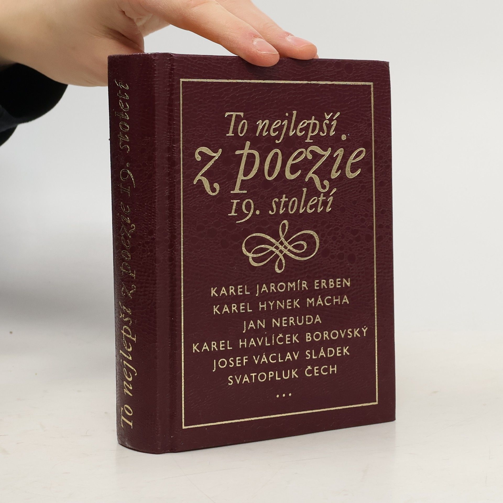 Various authors To nejlepší z poezie 19. století