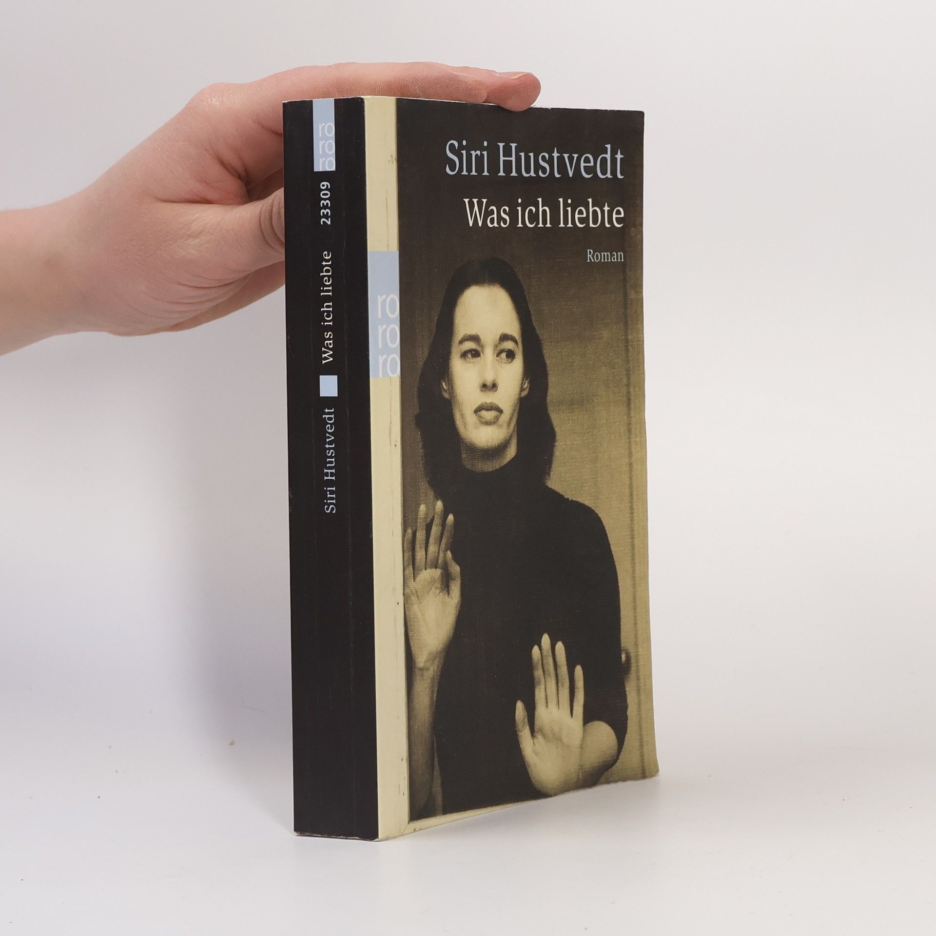 Siri Hustvedt Was ich liebte