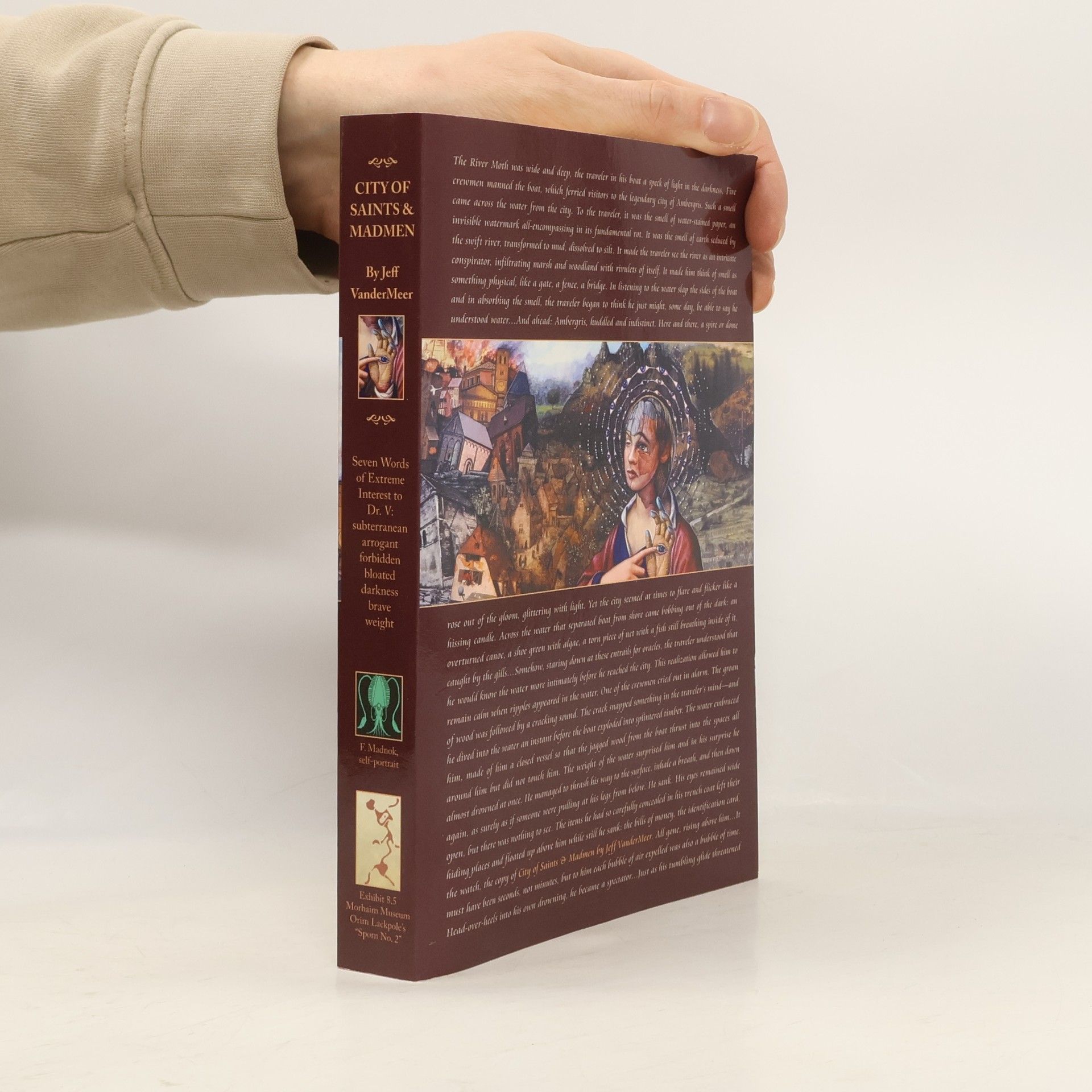 Jeff VanderMeer City of Saints and Madmen