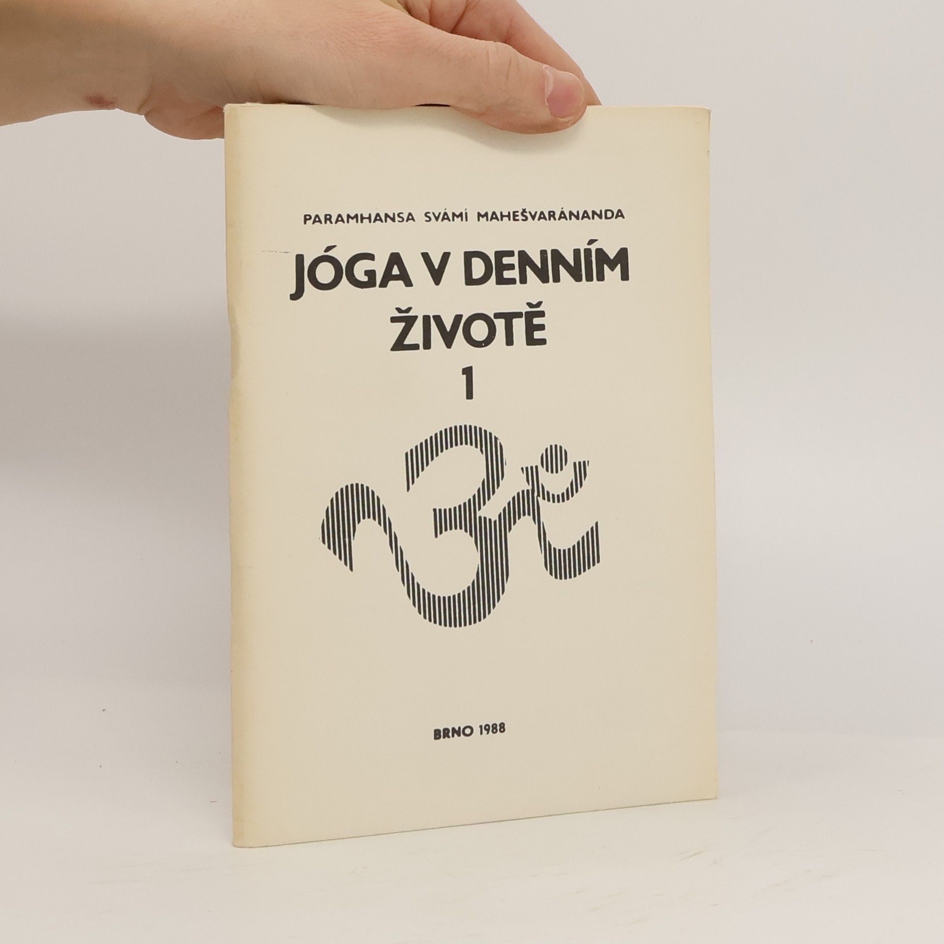 Paramhans Swami Maheshwarananda Jóga v denním životě