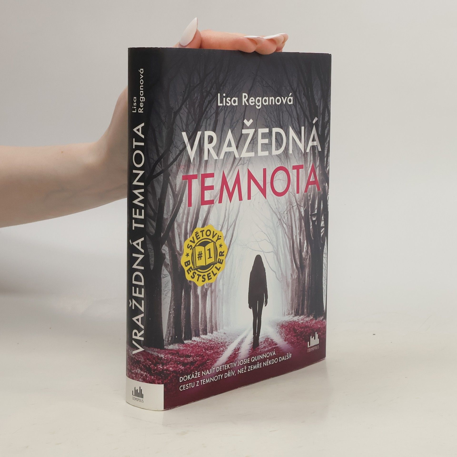 Lisa Regan Vražedná temnota