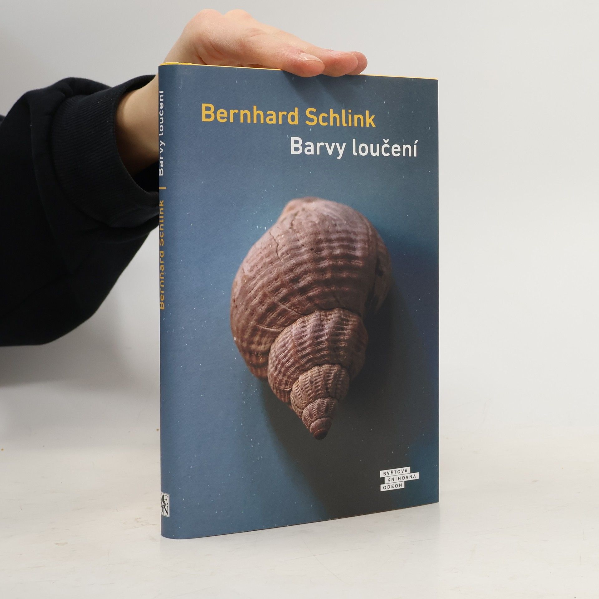 Bernhard Schlink Barvy loučení