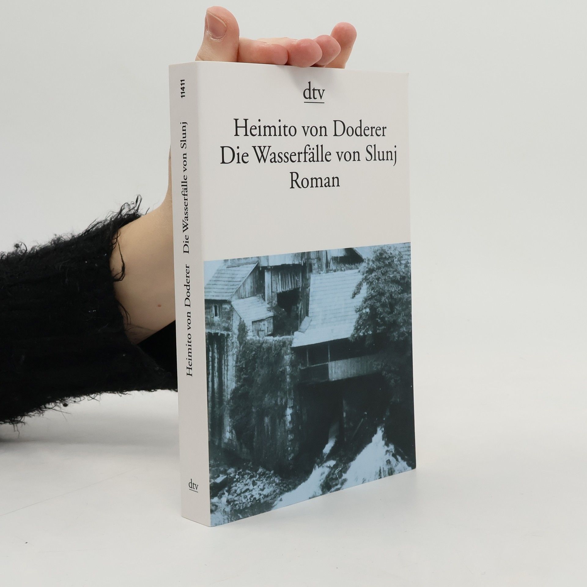 Heimito von Doderer Die Wasserfälle von Slunj